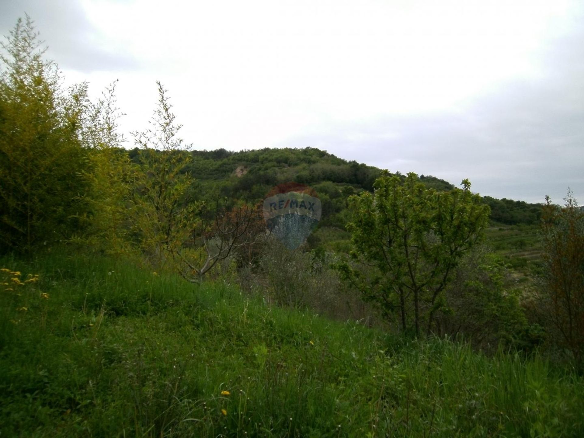 loger dans Motovun, Istarska županija 12035170