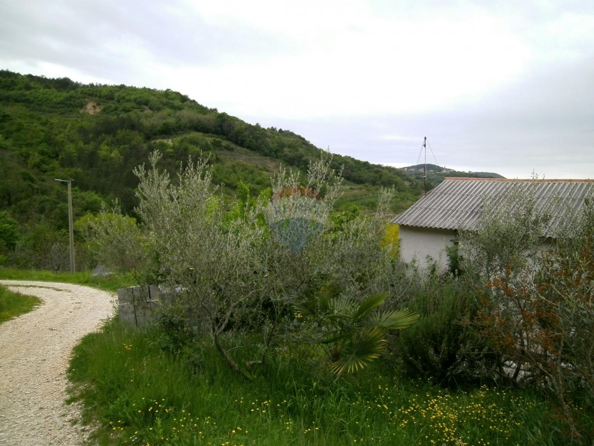 房子 在 Motovun, Istarska županija 12035170