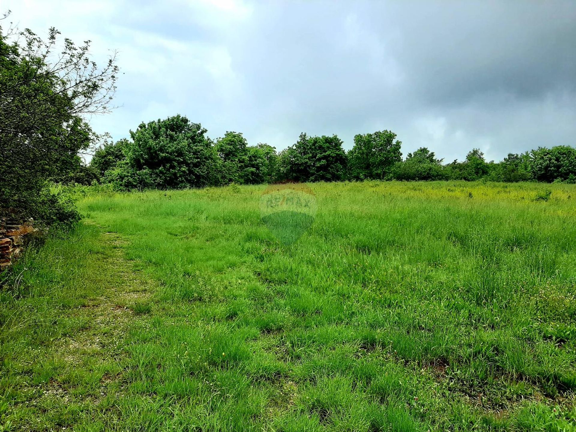 Land im Brtonigla, Istarska županija 12035193