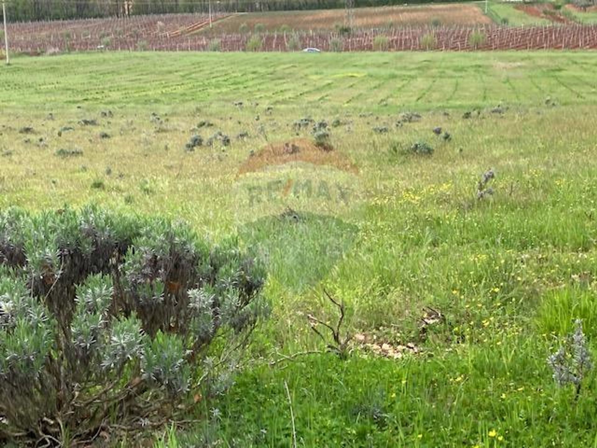 Land i Mugeba, Istarska županija 12035195