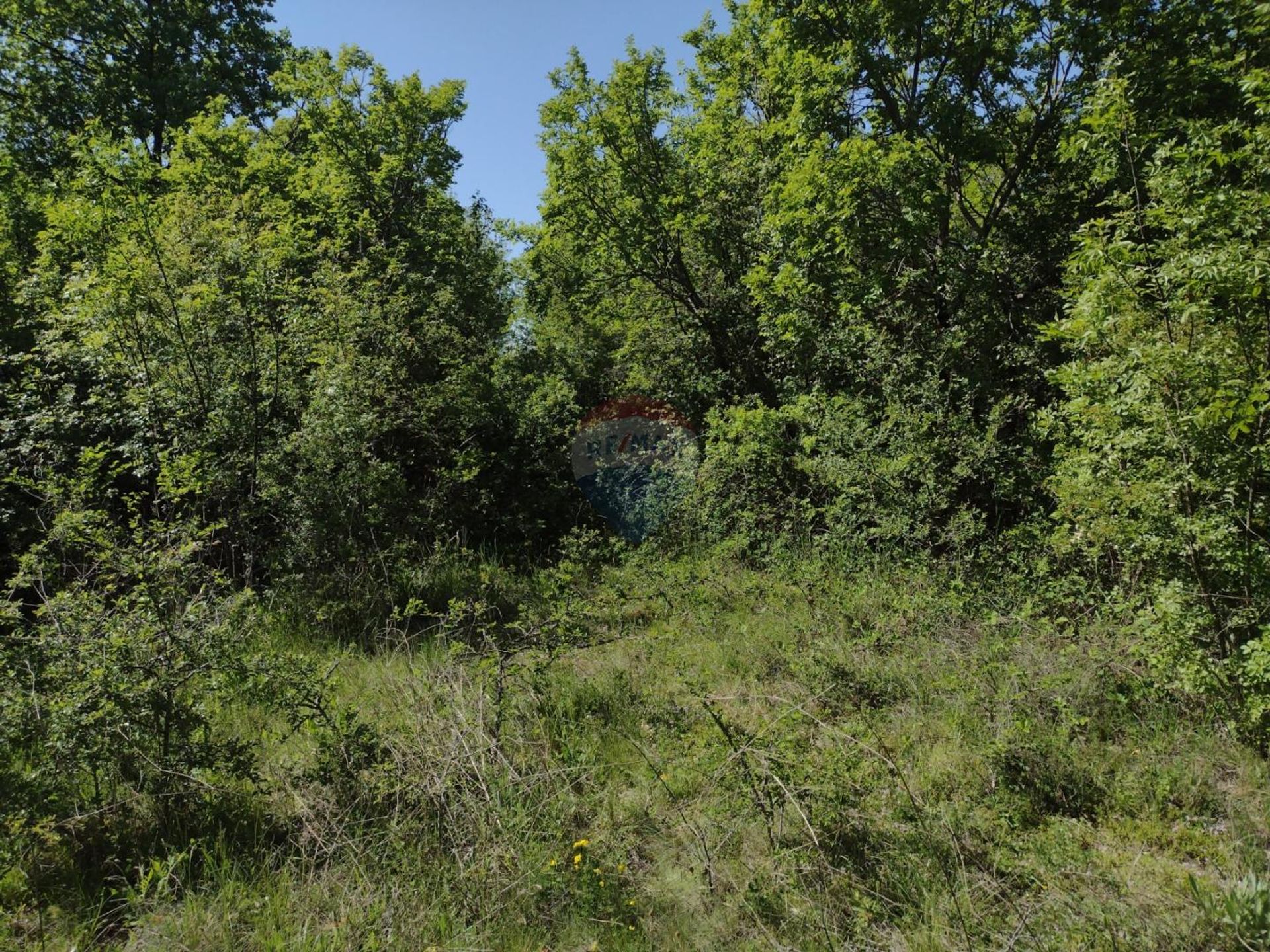 Land in Kanfanar, Istarska Zupanija 12035201