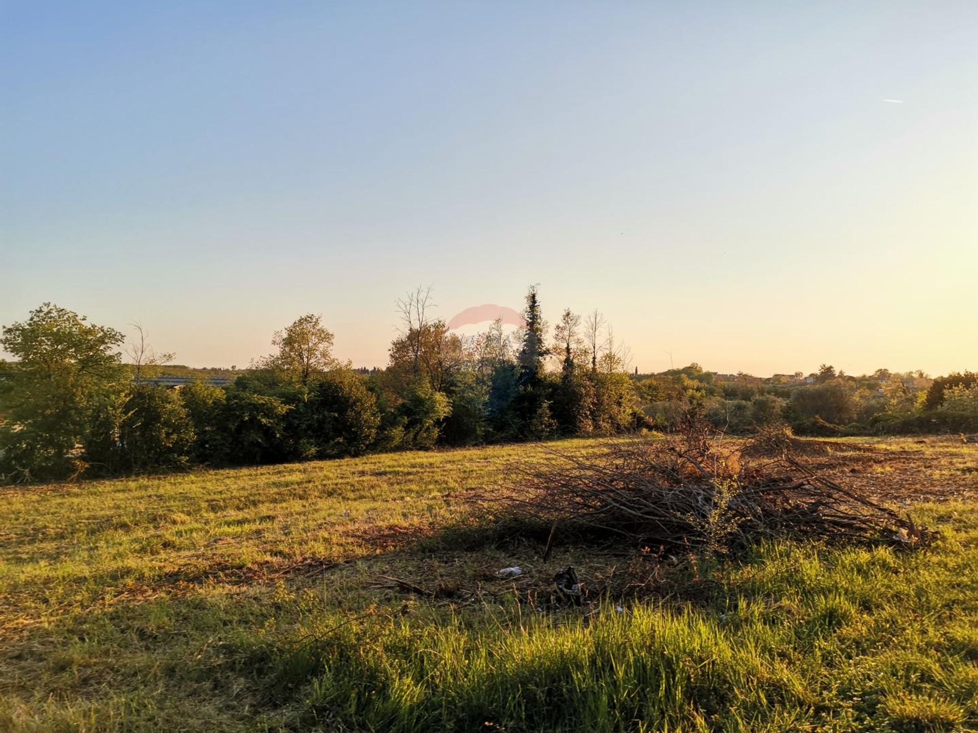 Terra no Brtonigla, Istarska županija 12035233