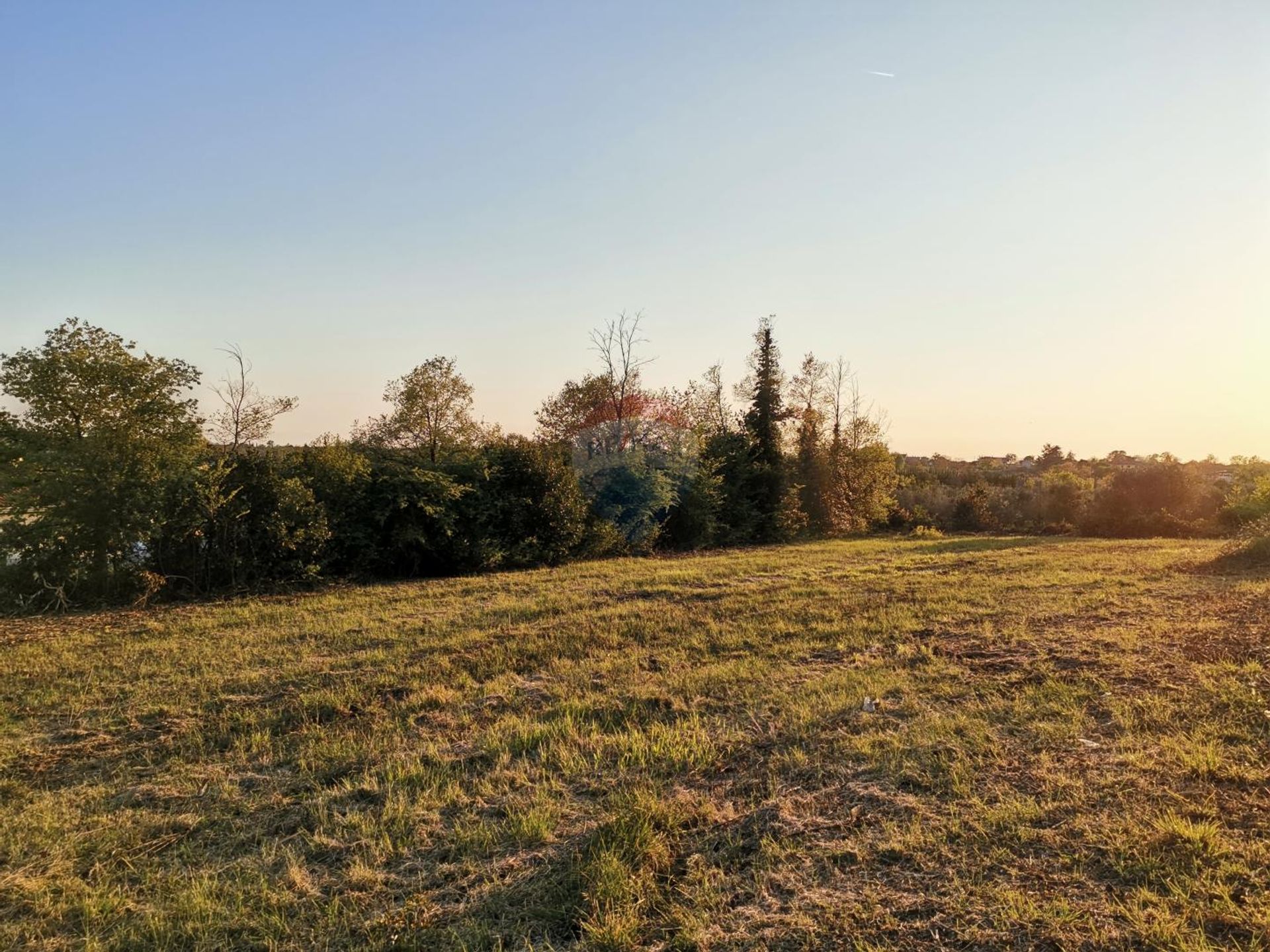 Terra no Brtonigla, Istarska županija 12035233