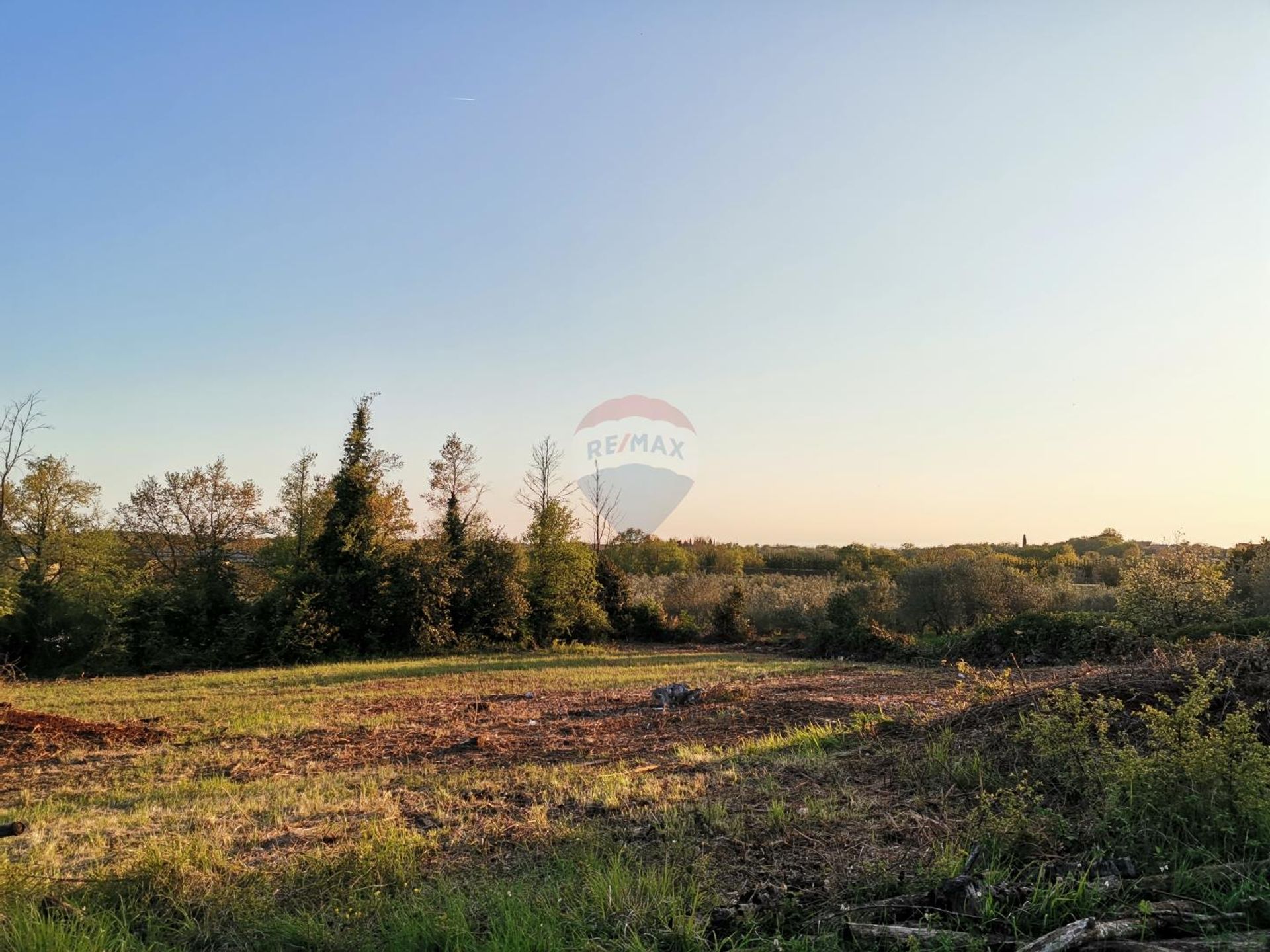 Terra no Brtonigla, Istarska županija 12035233