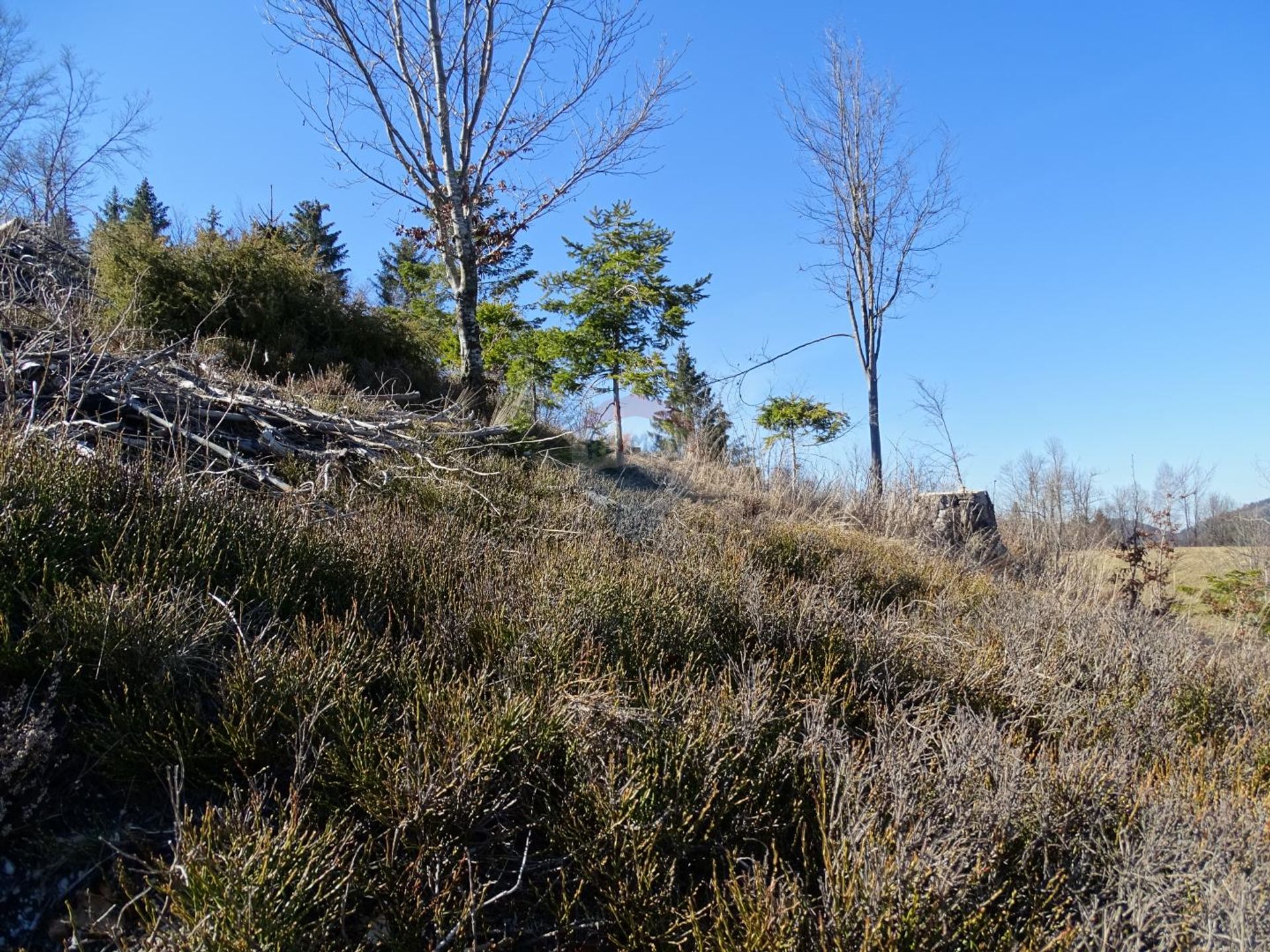 Land im Sunger, Primorsko-goranska županija 12035251