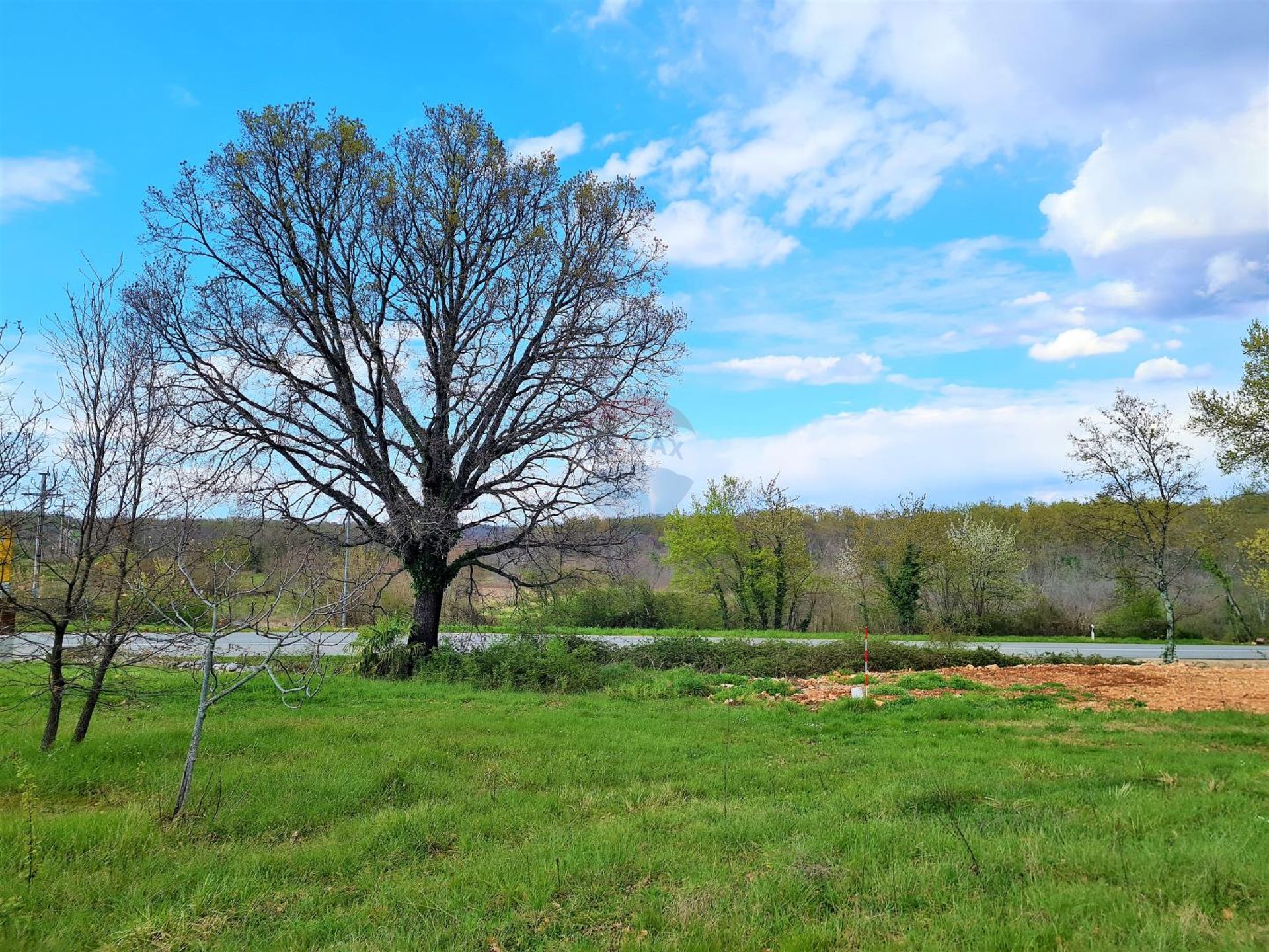 Terre dans Brtonigla, Istarska županija 12035265