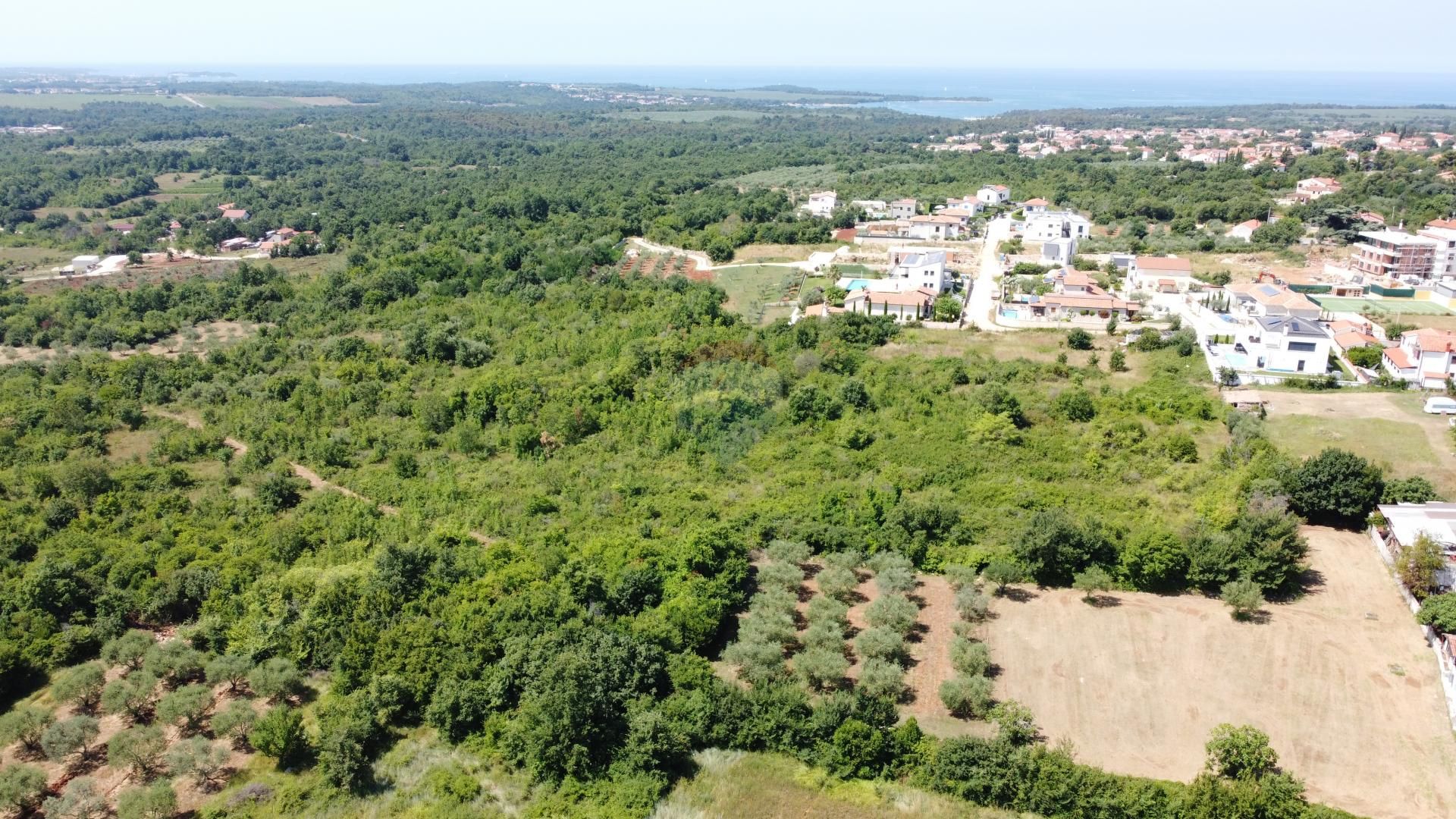 Terre dans Le goudron, Istarska Zupanija 12035315