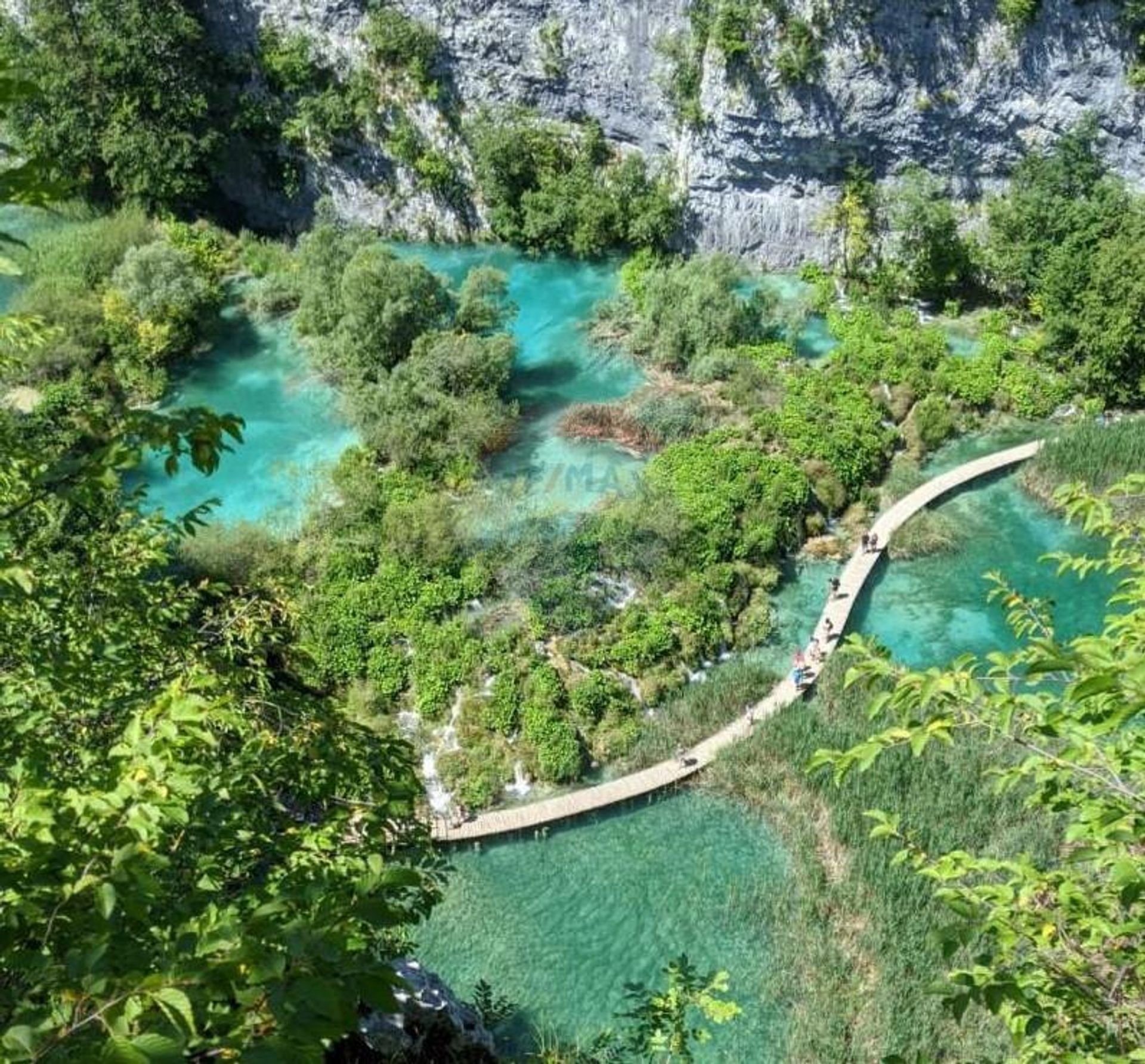 Tanah dalam korenica, Licko-Senjska Zupanija 12035387