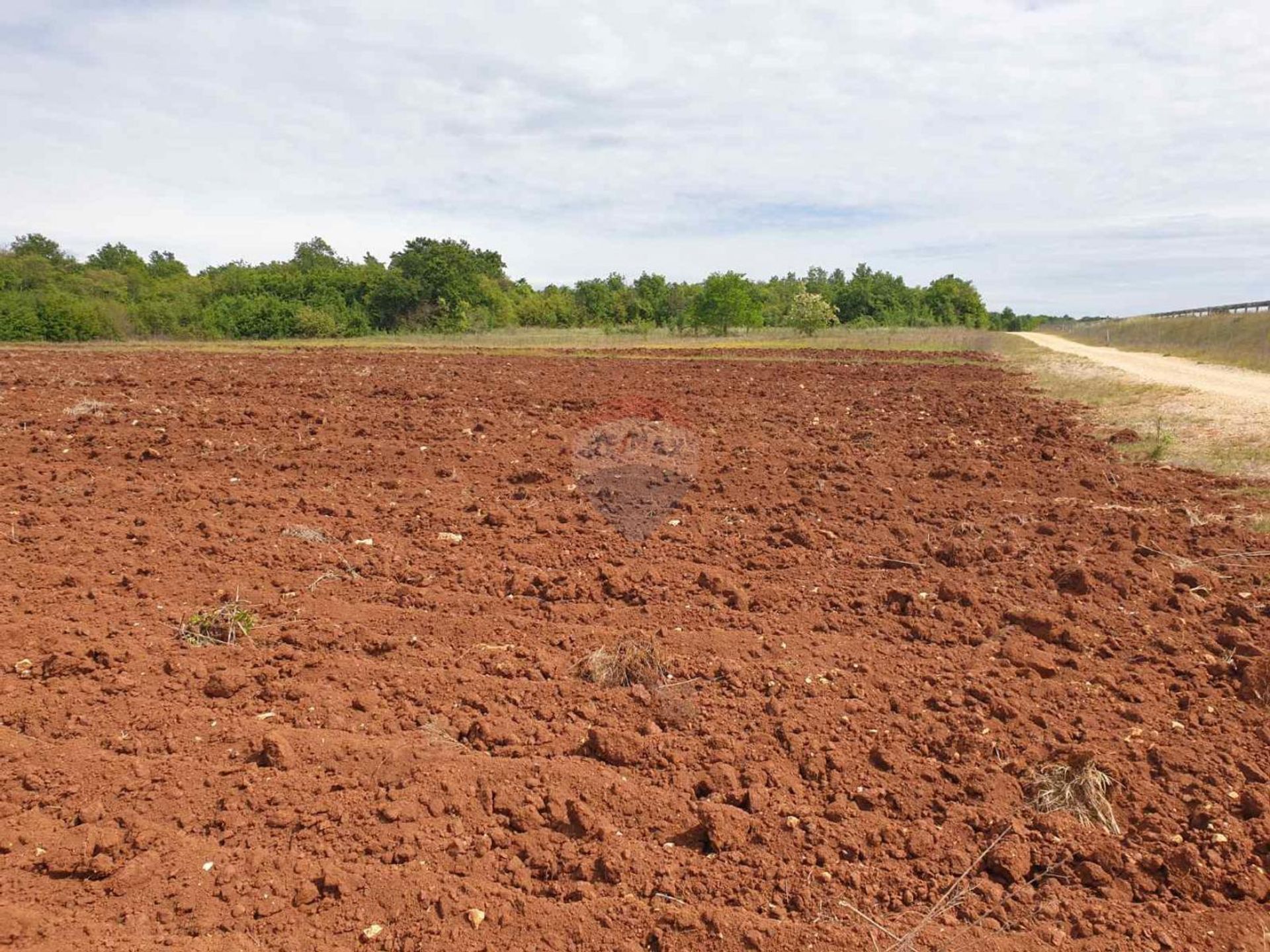 Land in Visnjan, Istarska Zupanija 12035417