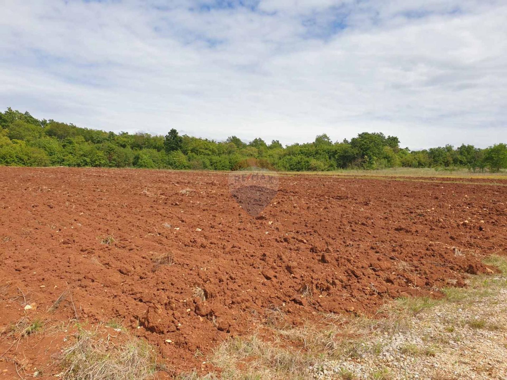 Land in Visnjan, Istarska Zupanija 12035417