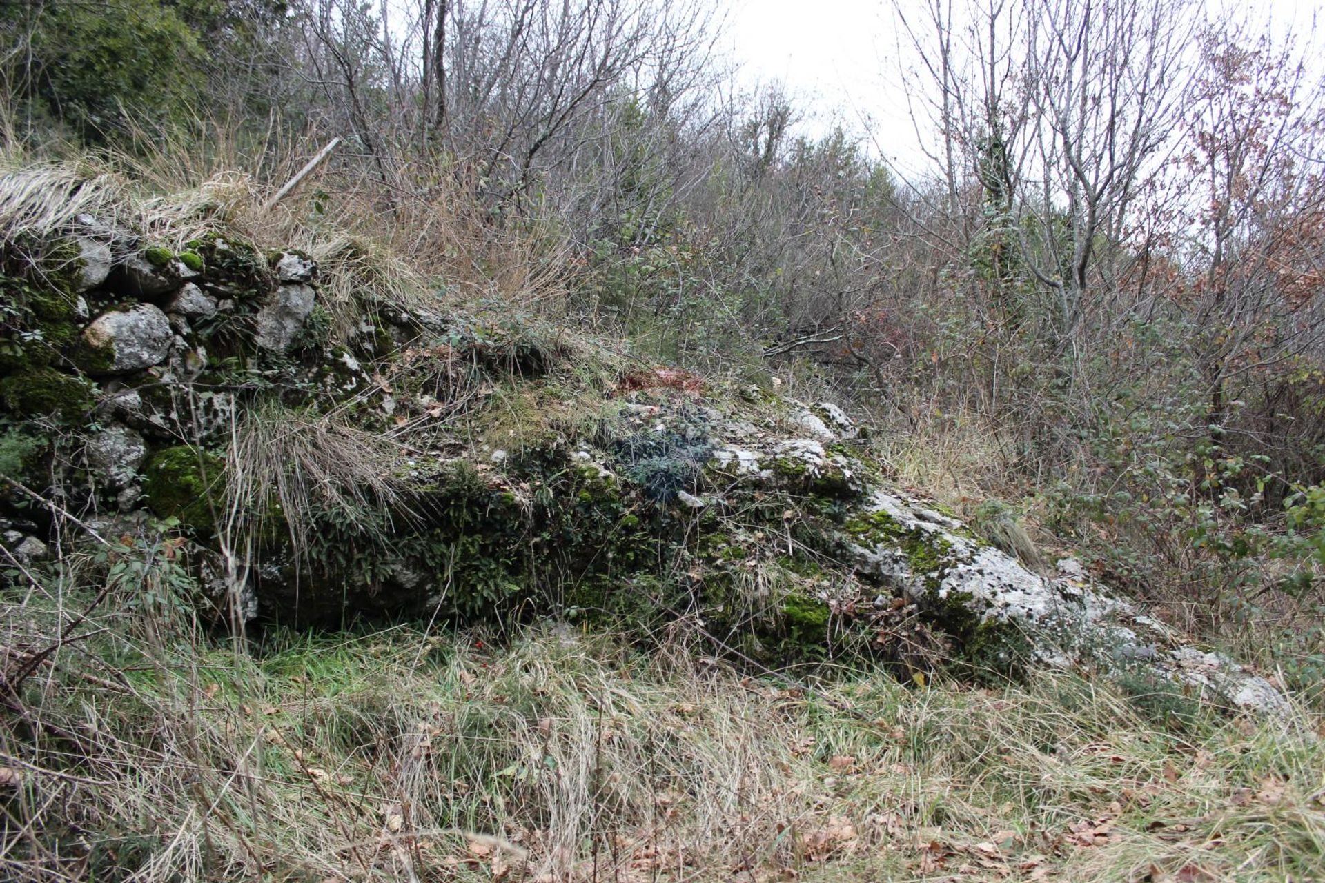 Terre dans Rukavac, Primorsko-goranska županija 12035500