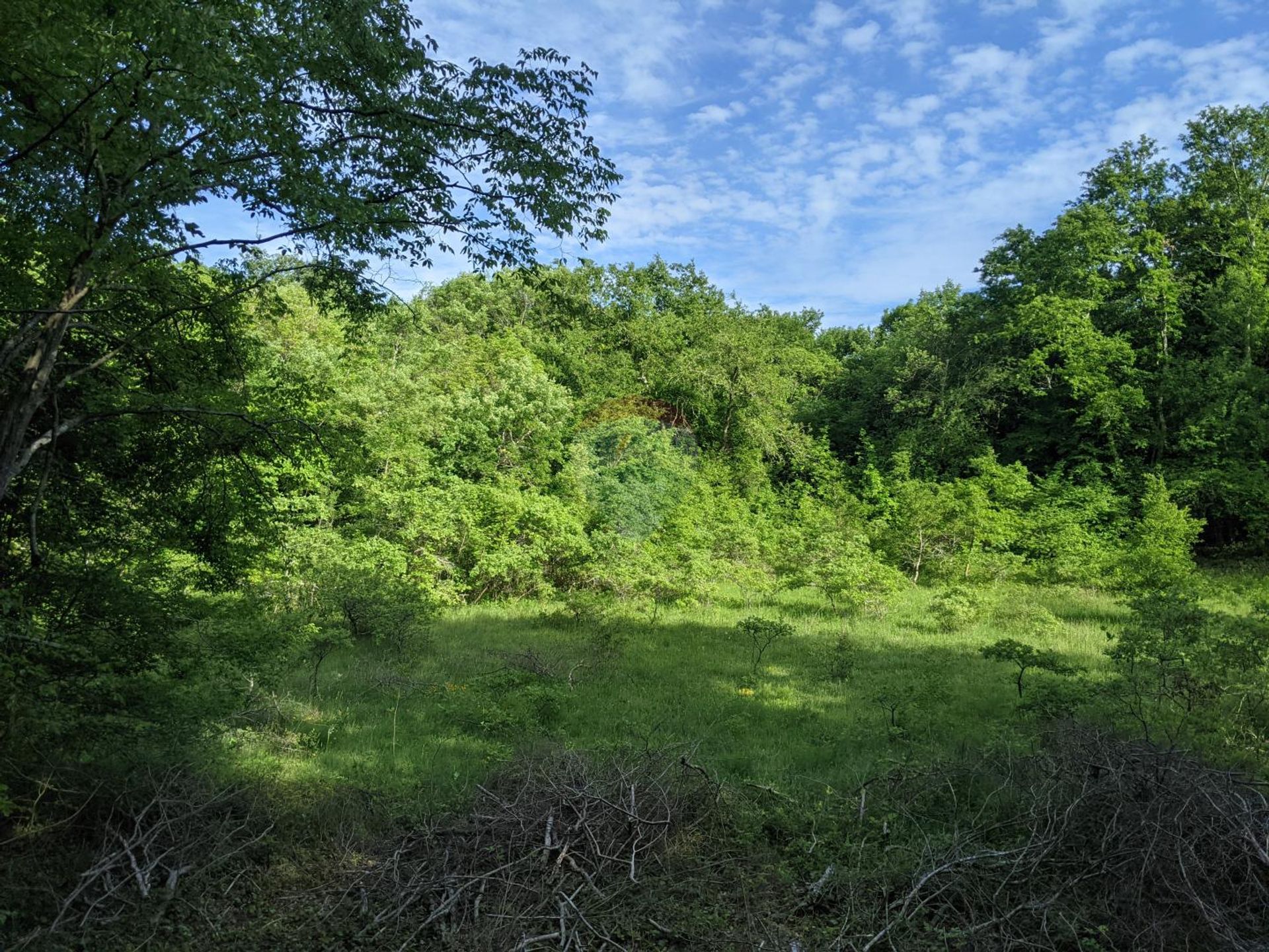 Terre dans Sveti Lovrec Pazenaticki, Istarska Zupanija 12035504