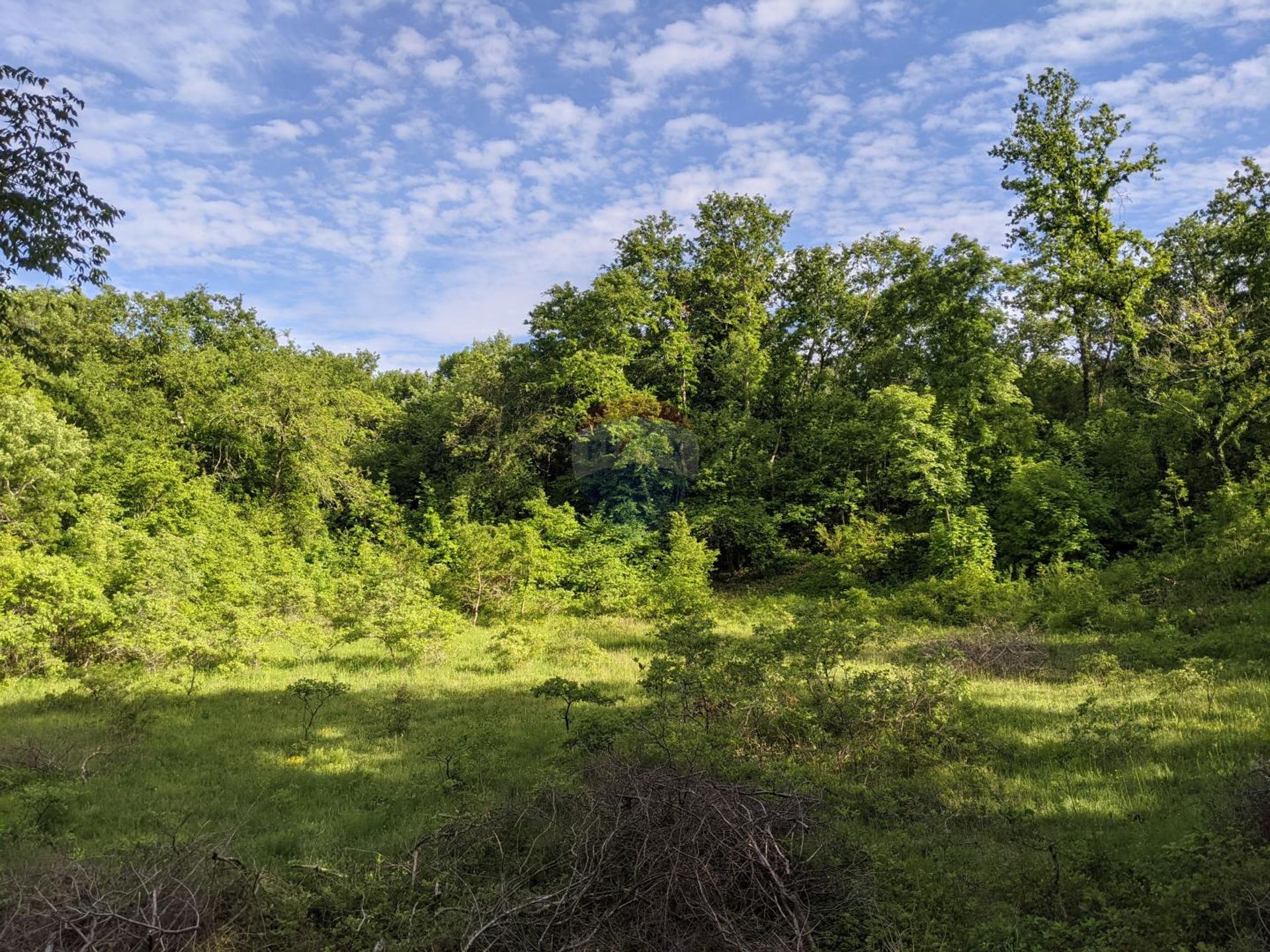 Terre dans Sveti Lovrec Pazenaticki, Istarska Zupanija 12035504