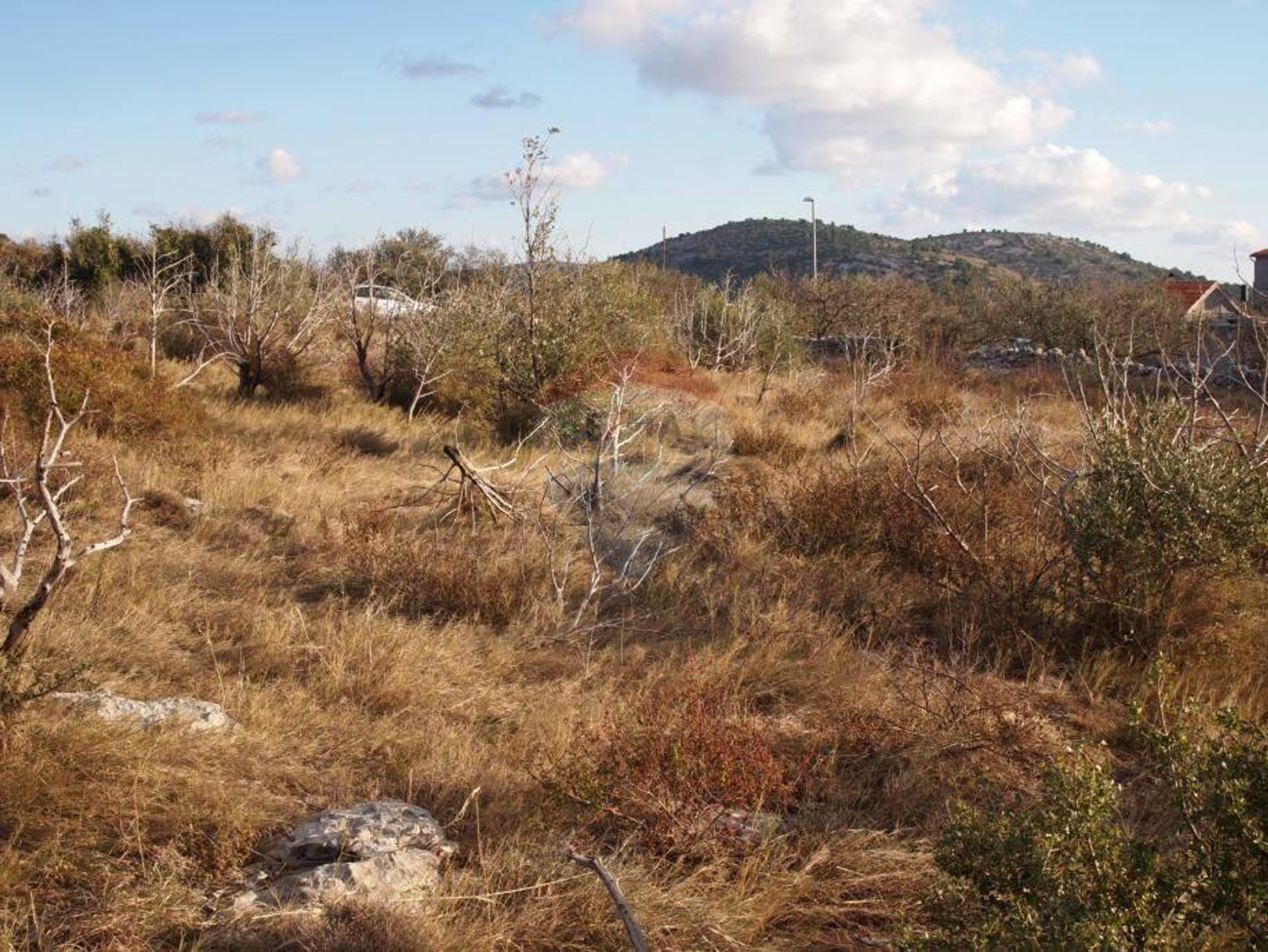 Terre dans Rogožnica, Sibensko-Kninska Zupanija 12035560