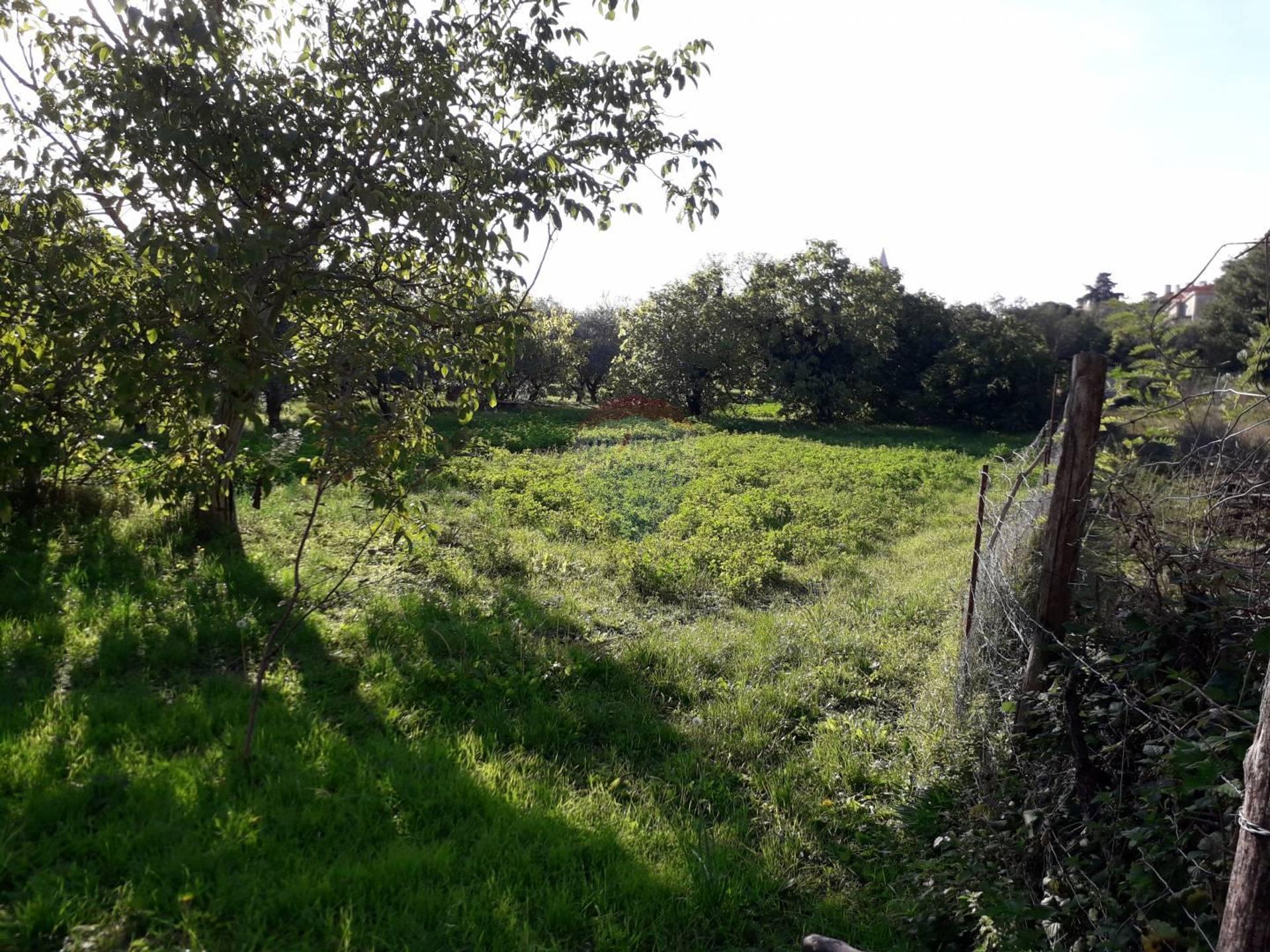 Land in Vodnjan, Istarska županija 12035638