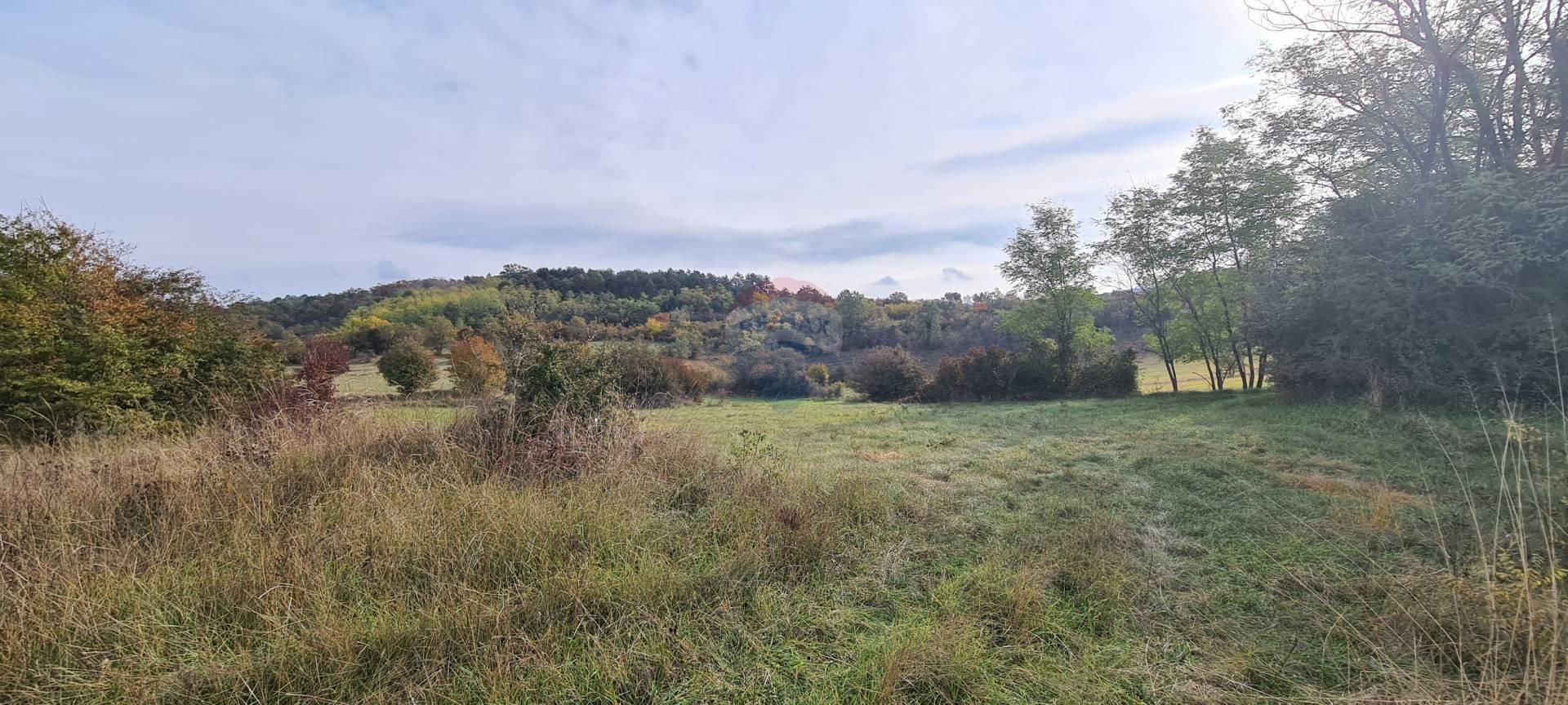 Tierra en Groznjan, Istarska Županija 12035639