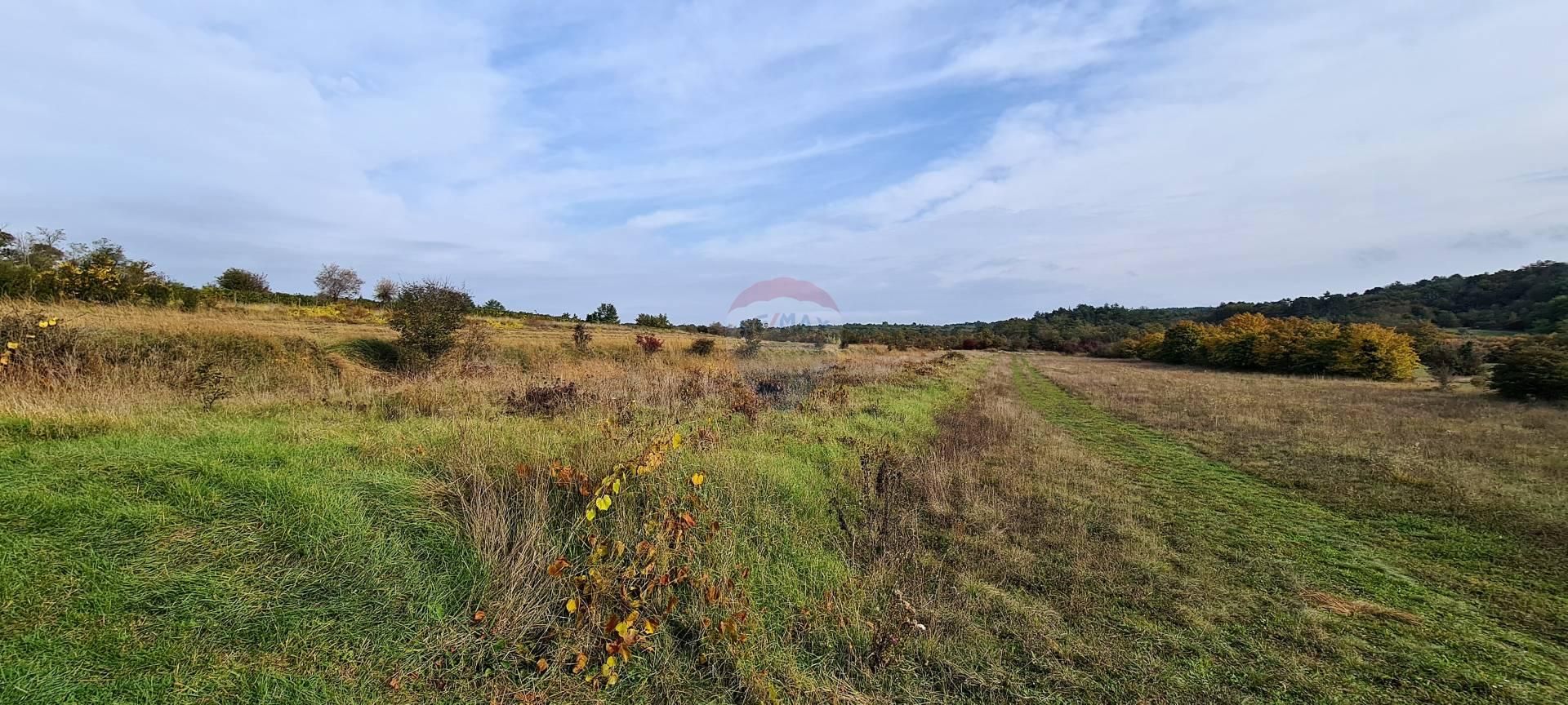 Terre dans Grožnjan, Istarska županija 12035647