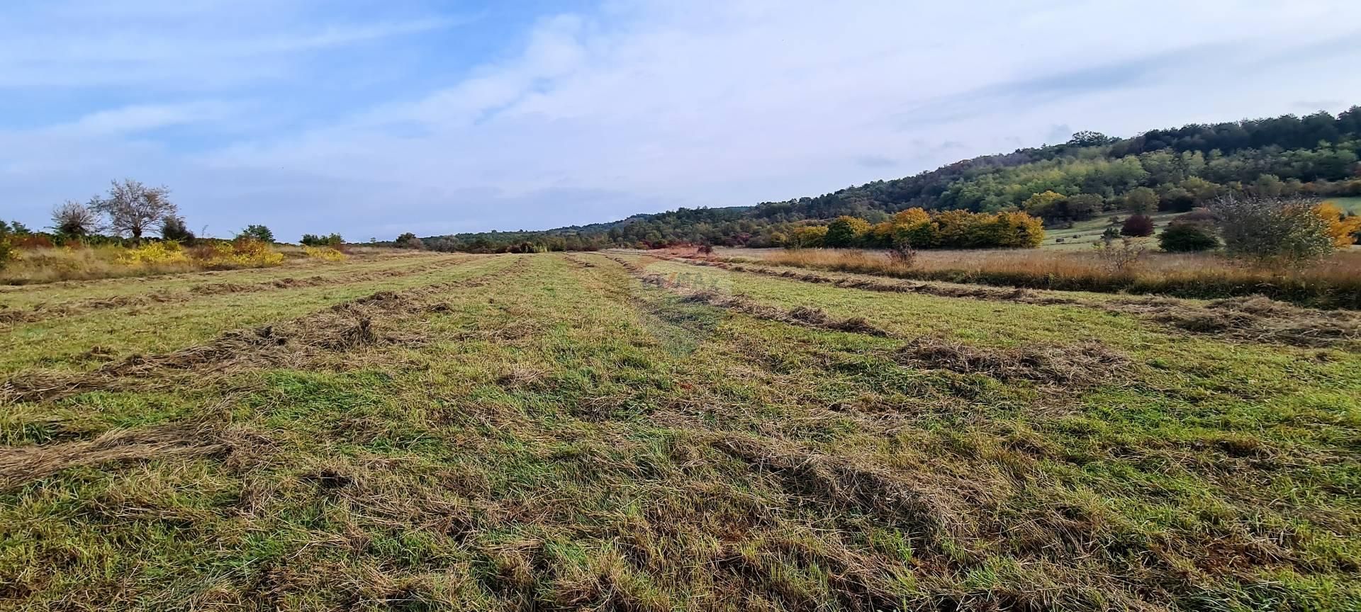 Terre dans Grožnjan, Istarska županija 12035647