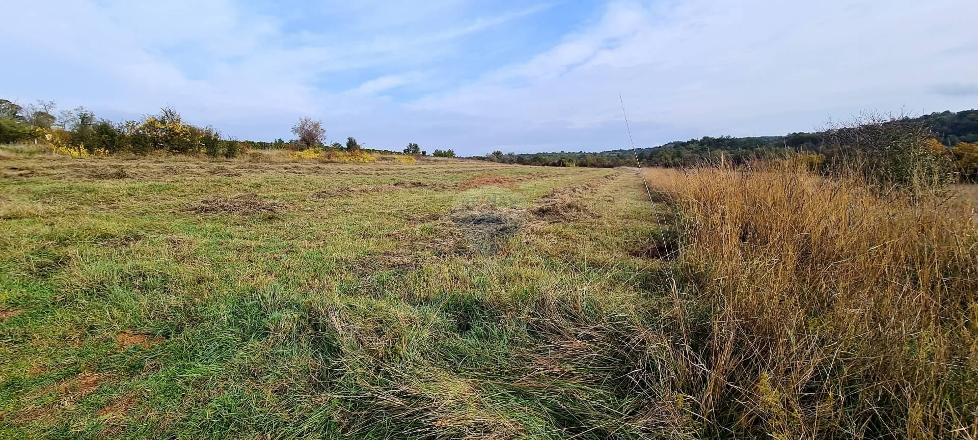 Terre dans Grožnjan, Istarska županija 12035647