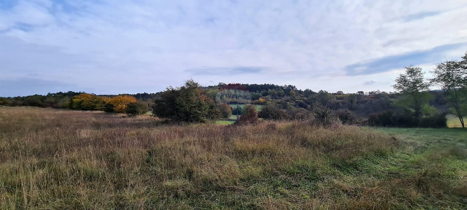 Terre dans Grožnjan, Istarska županija 12035647