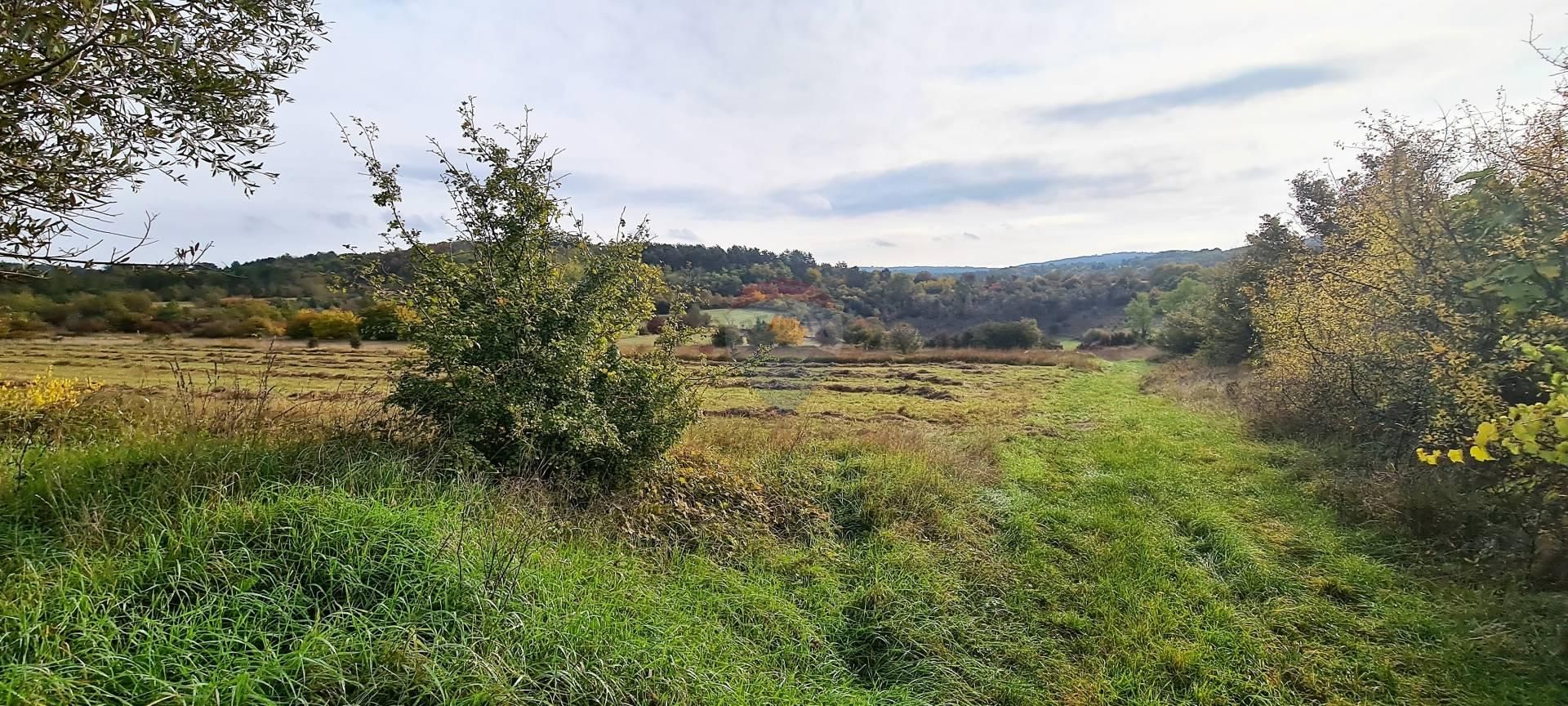 Terre dans Grožnjan, Istarska županija 12035647