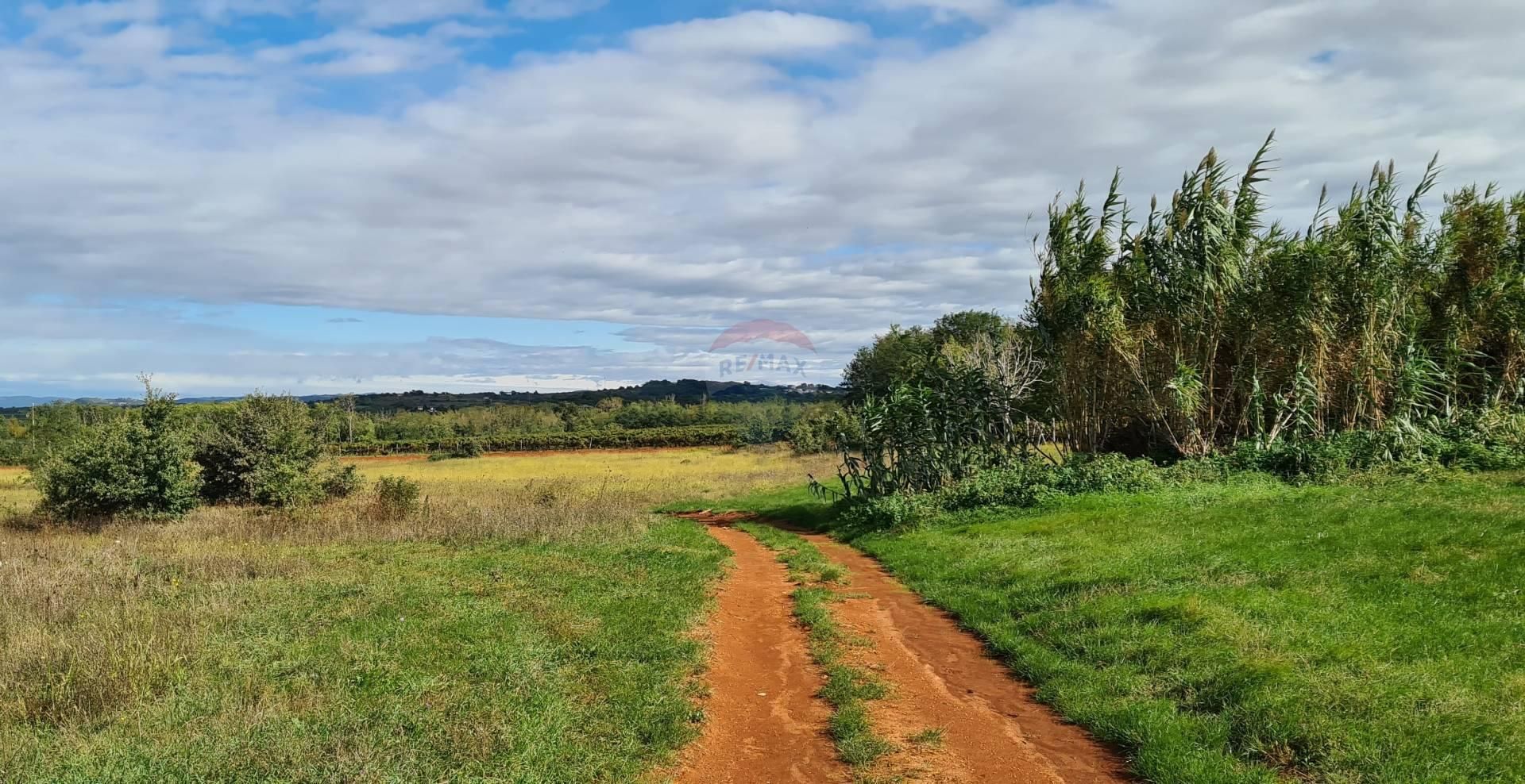 Terra no Petrovija, Istarska županija 12035662