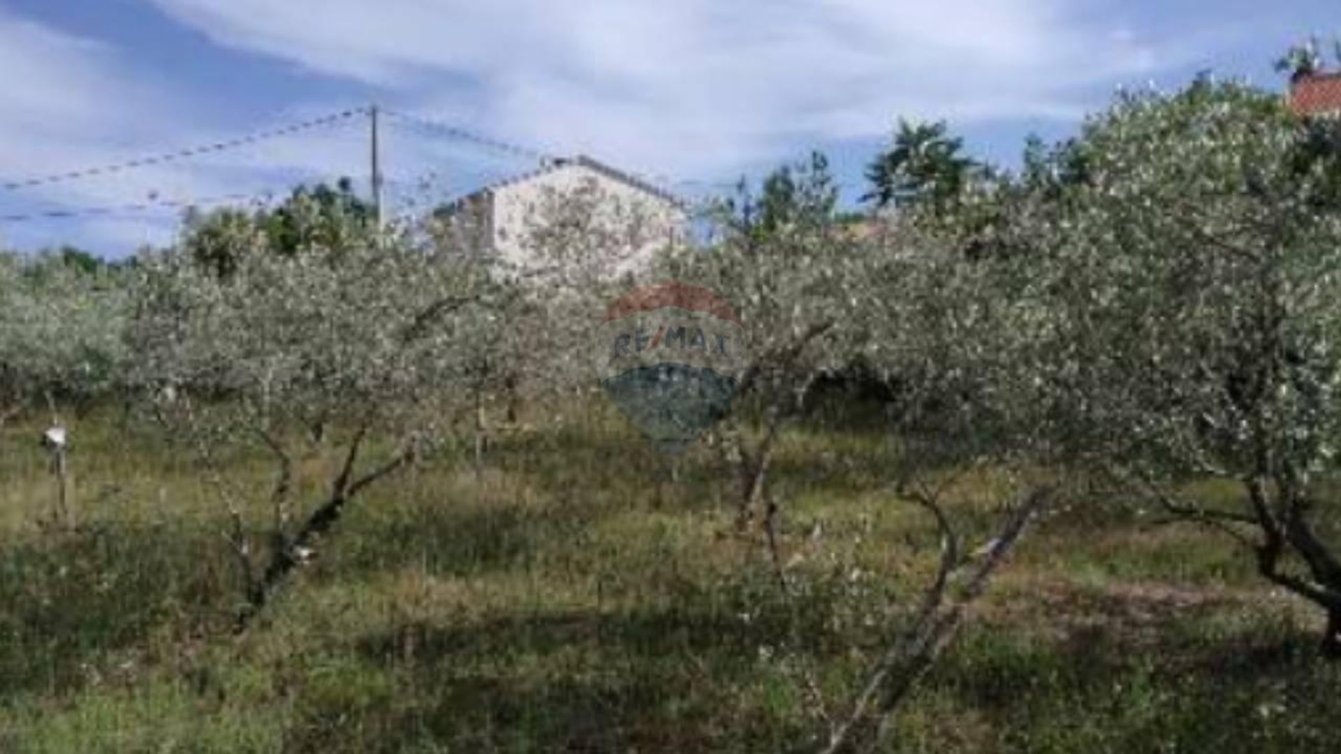 Land in Marcana, Istarska Zupanija 12035728