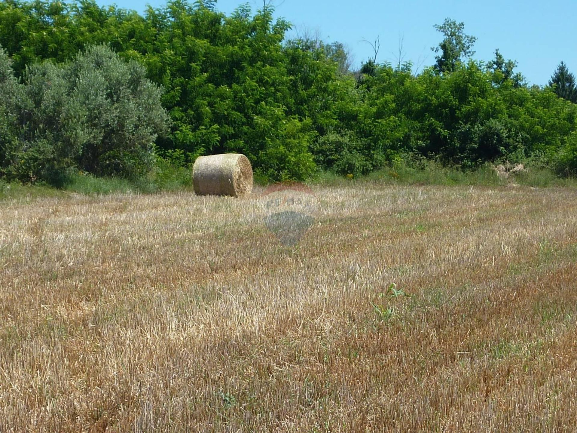 Land in Kastelir, Istarska Zupanija 12035789