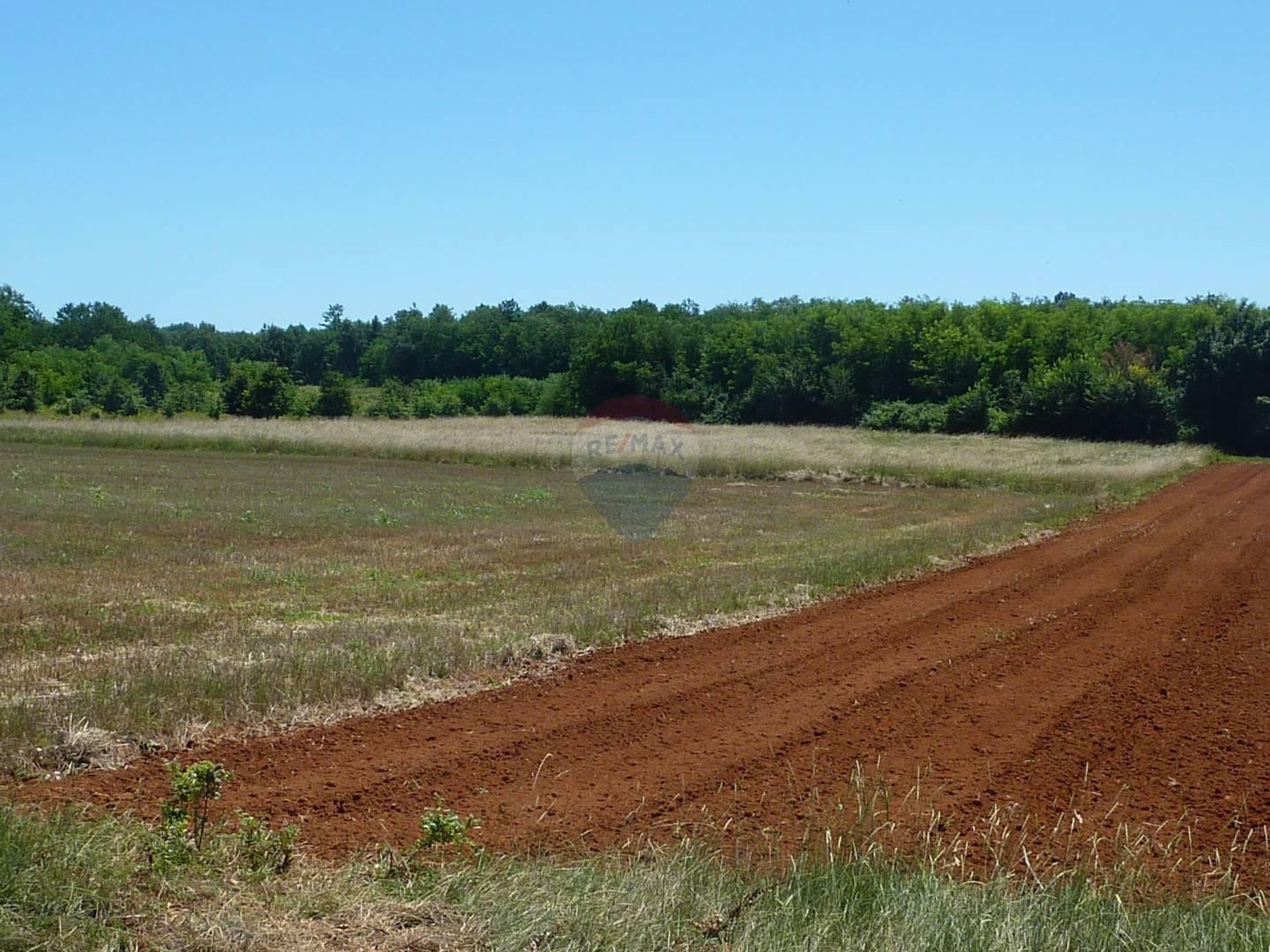 Land in Kastelir, Istarska Zupanija 12035789