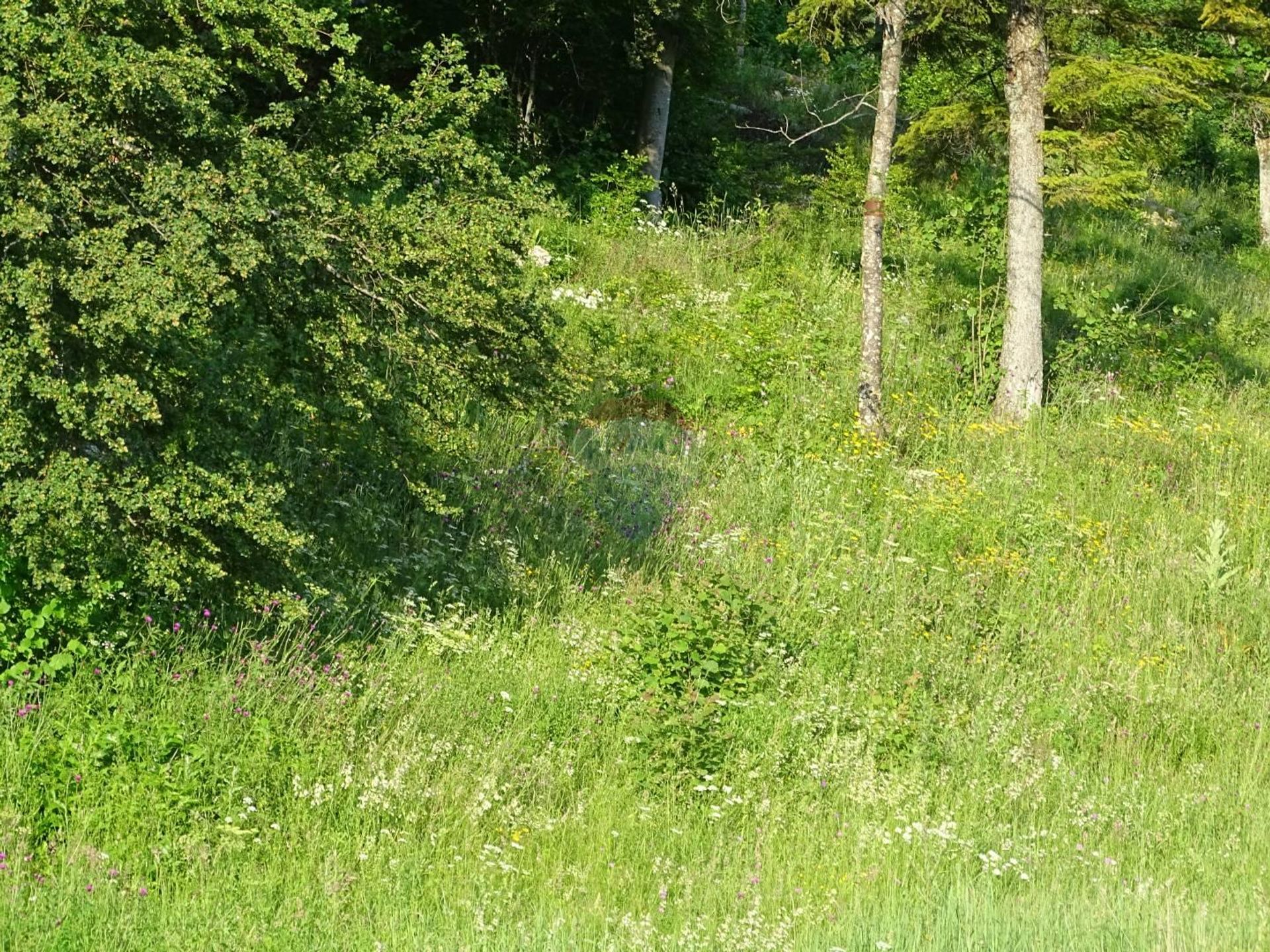 Land i Fužine, Primorsko-goranska županija 12035889