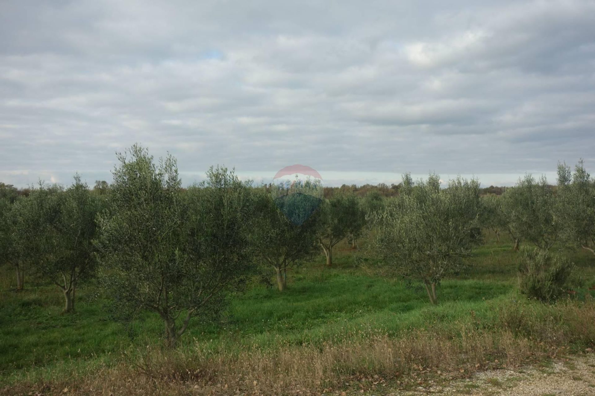 Tierra en Poreč, Istarska županija 12036029