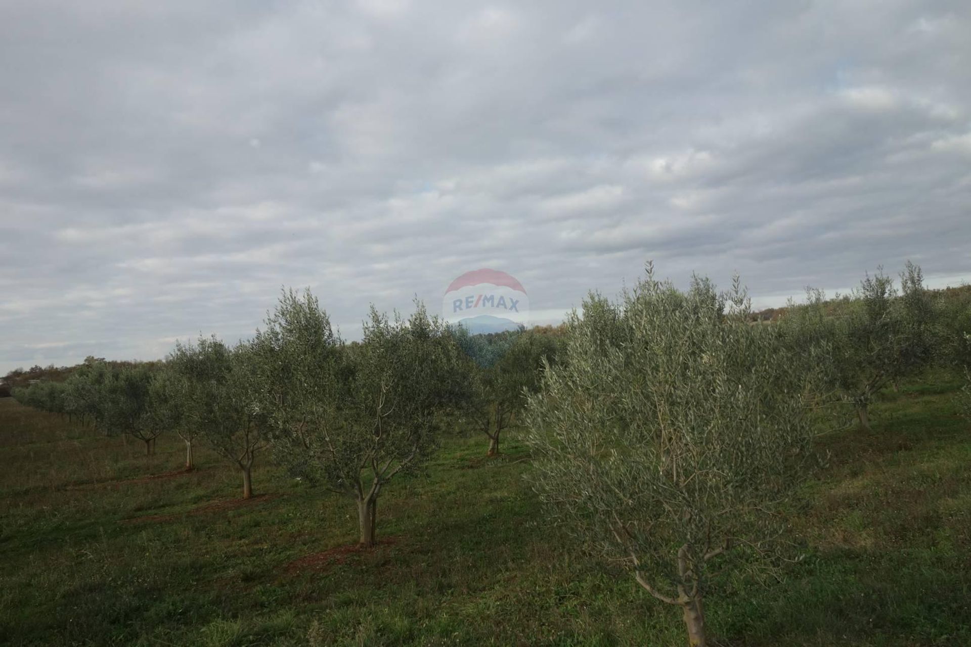 Tierra en Poreč, Istarska županija 12036029