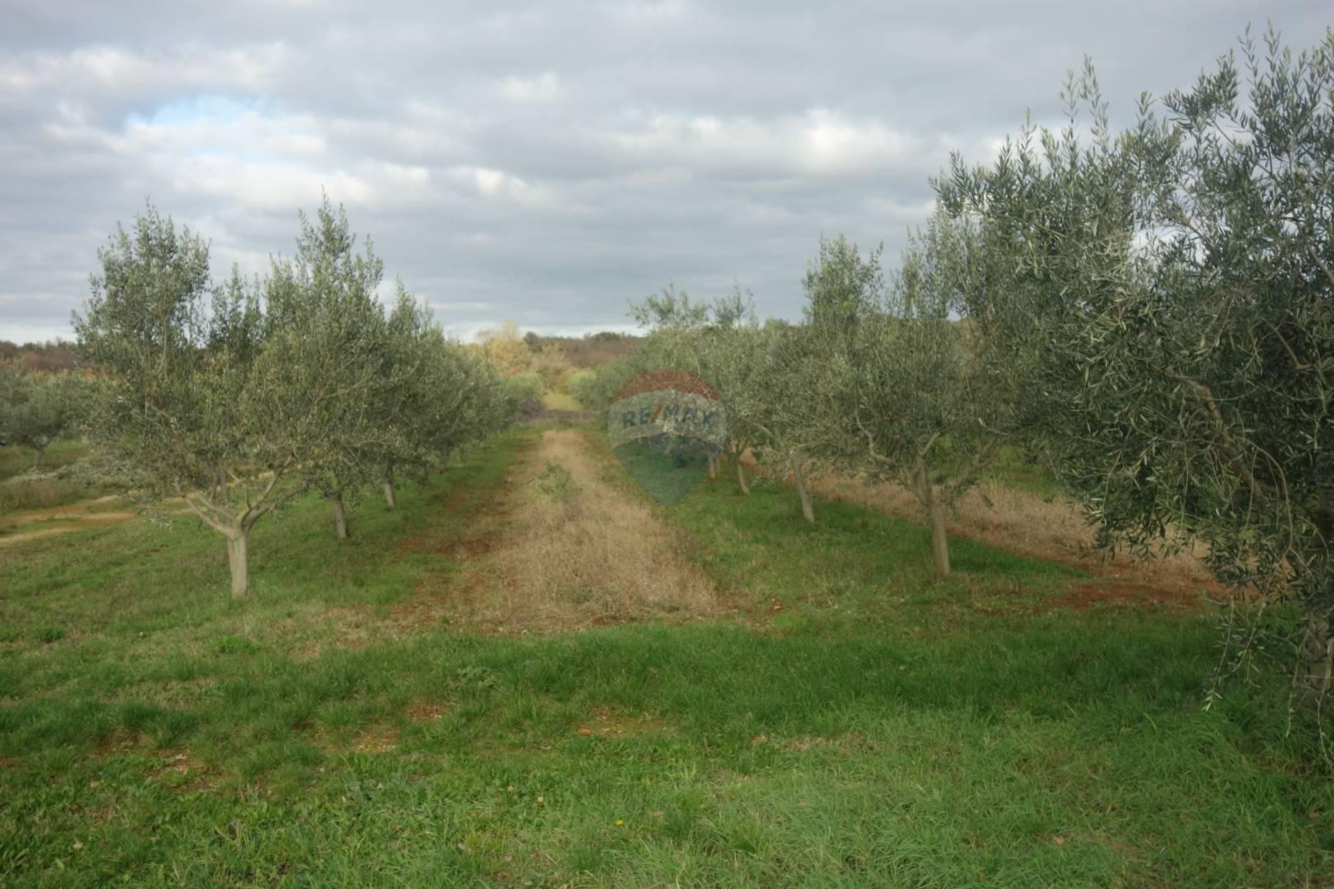 Tierra en Poreč, Istarska županija 12036029