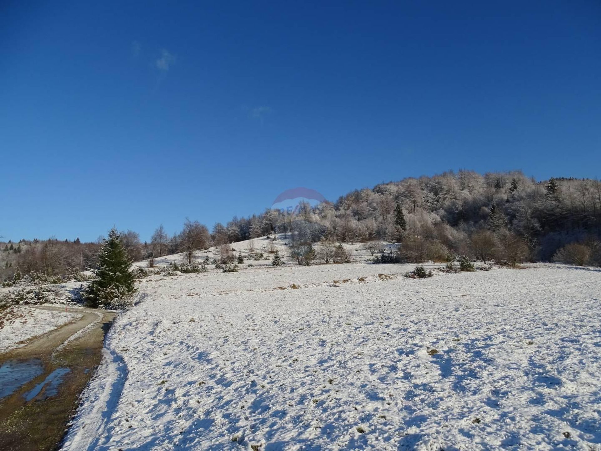 Land in Stari Laz, Primorje-Gorski Kotar County 12036046