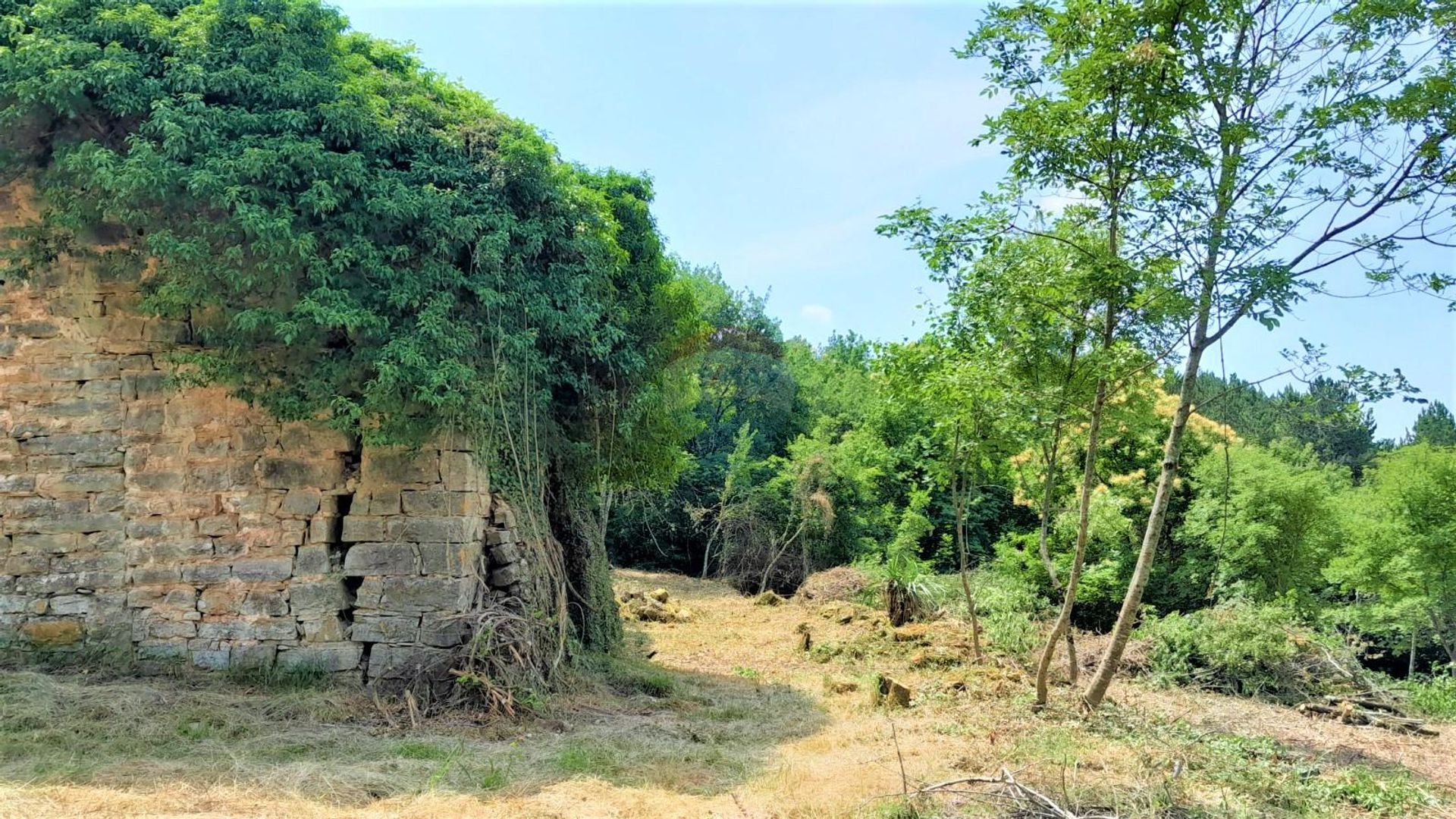 Hus i Oprtalj, Istarska županija 12036093