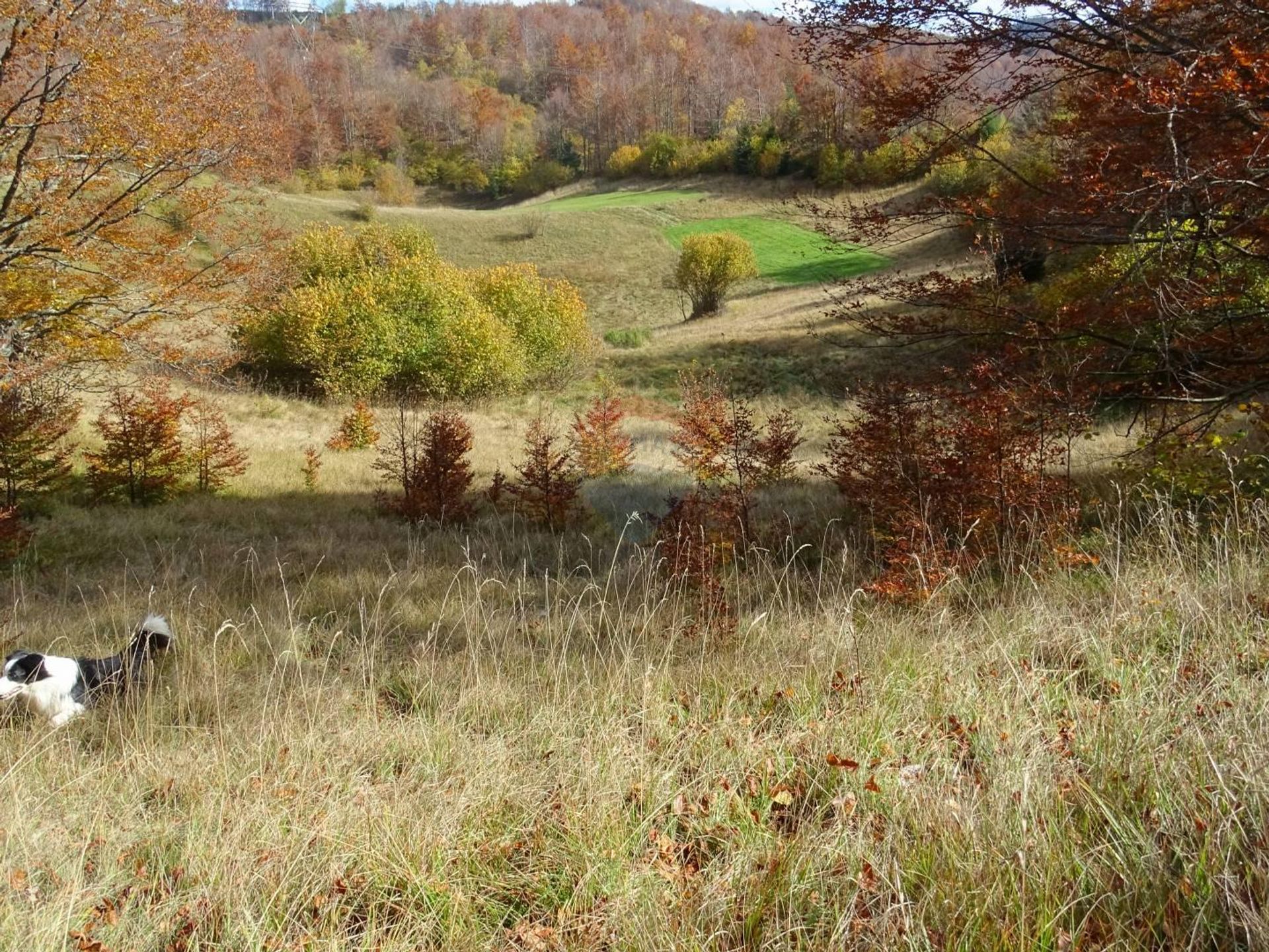 Land i Mrkopalj, Primorsko-Goranska Zupanija 12036133