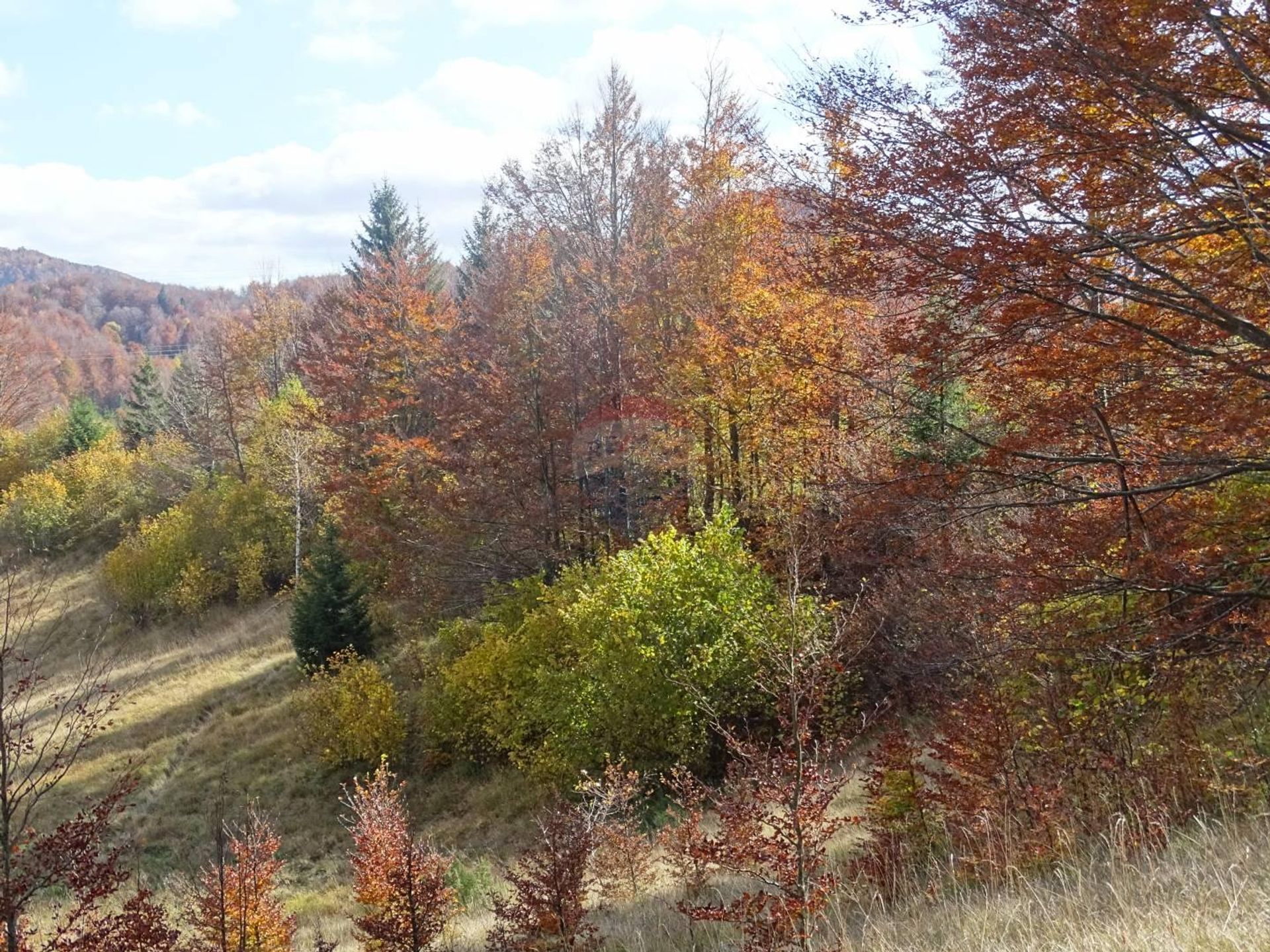 Tanah di Mrkopalj, Primorsko-goranska županija 12036133