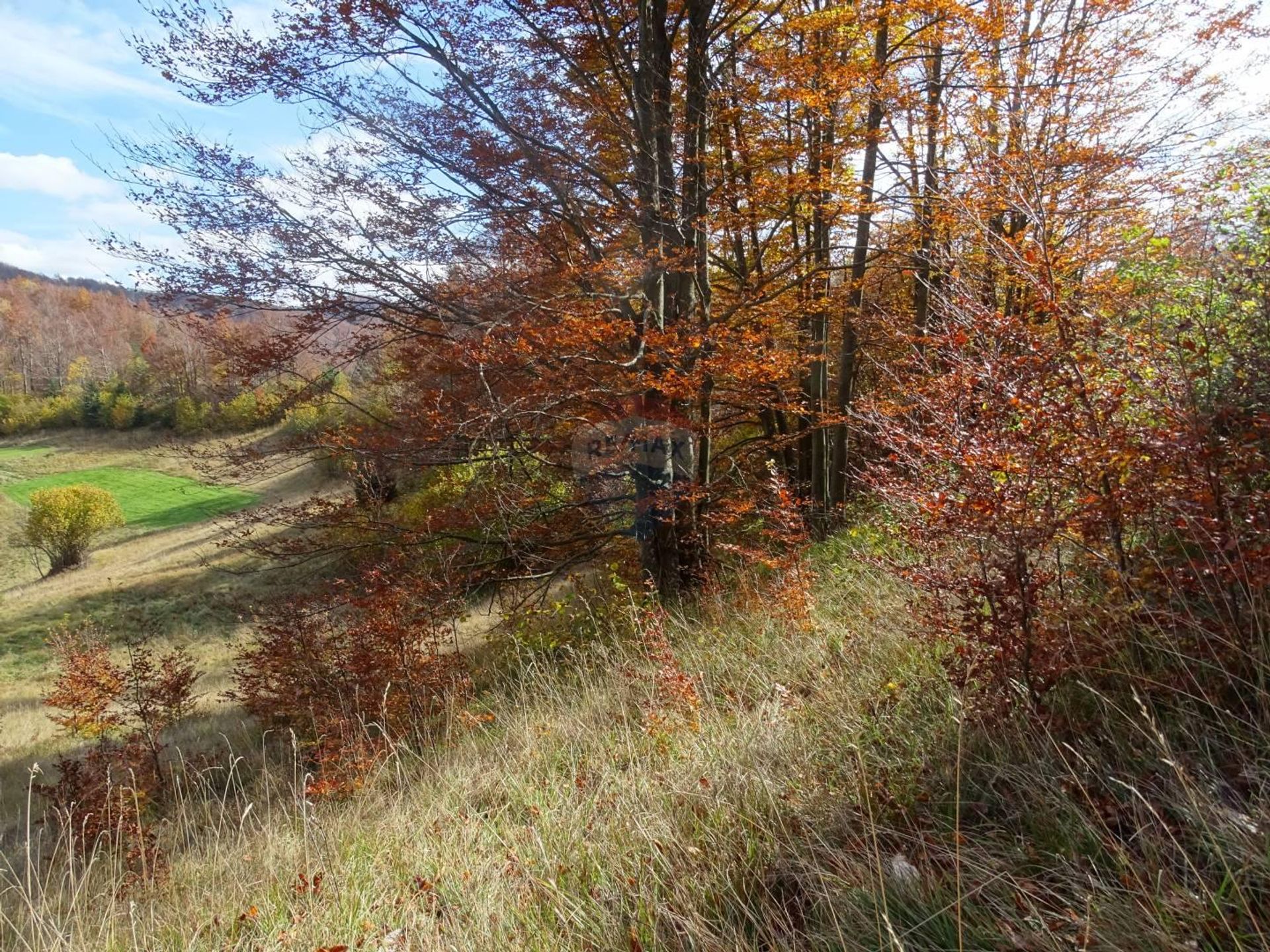 Tanah di Tuankopalj, Primorsko-Goranska Zupanija 12036133