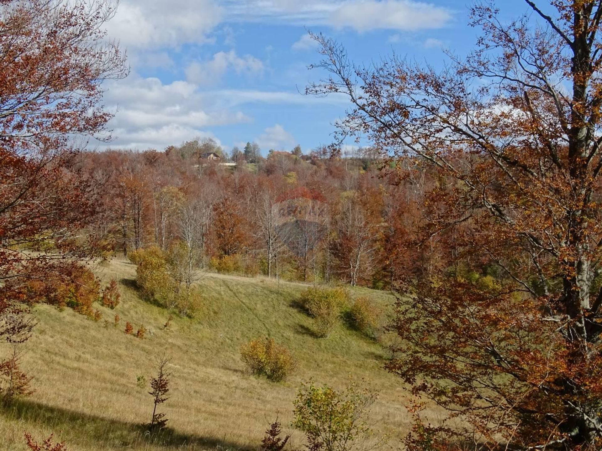 Tanah di Tuankopalj, Primorsko-Goranska Zupanija 12036133