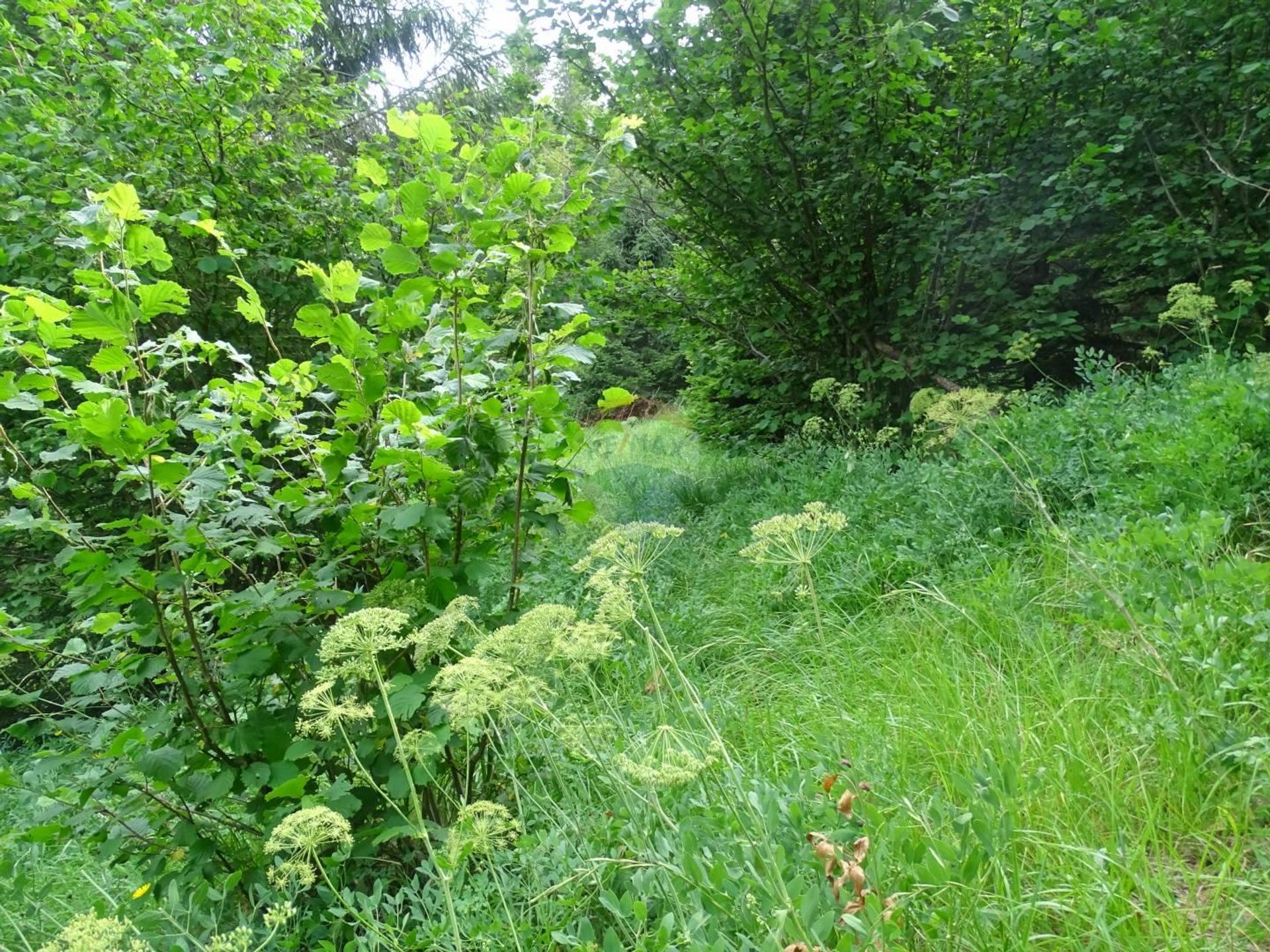 Land in Fuzine, Primorsko-Goranska Zupanija 12036201