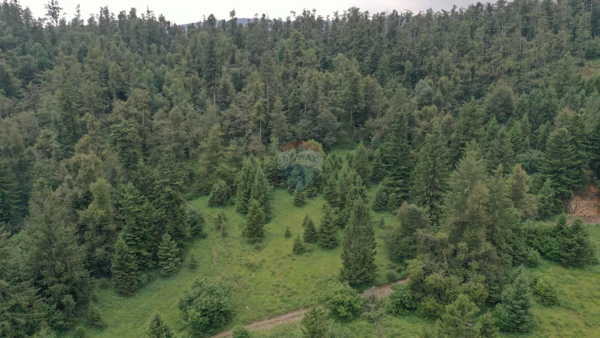 Land im Fuzine, Primorsko-Goranska Zupanija 12036201