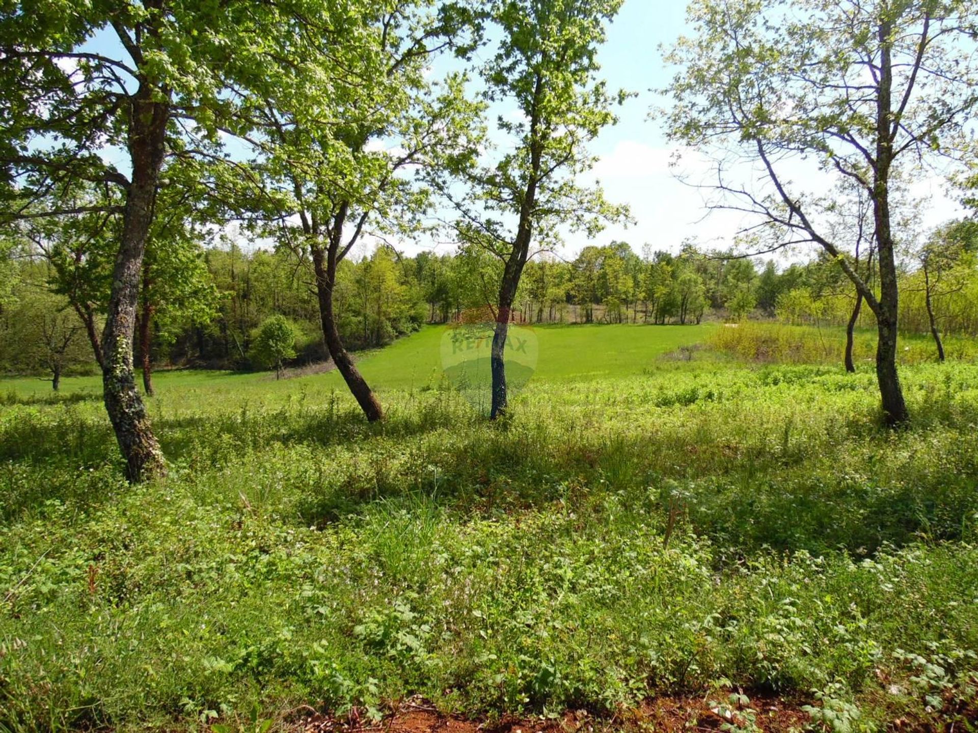 Tanah dalam Jadruhi, Istarska županija 12036258