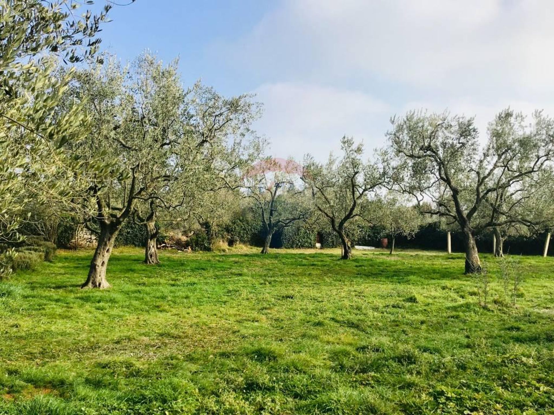 Tierra en Fazana, Istarska Županija 12036328