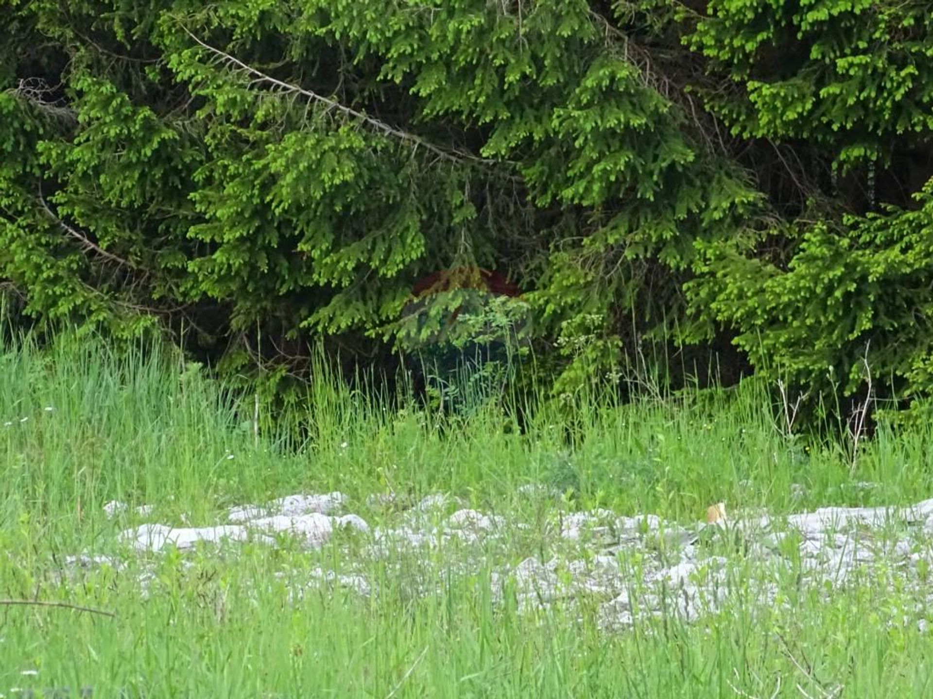 Tierra en Šije, Primorsko-goranska županija 12036506