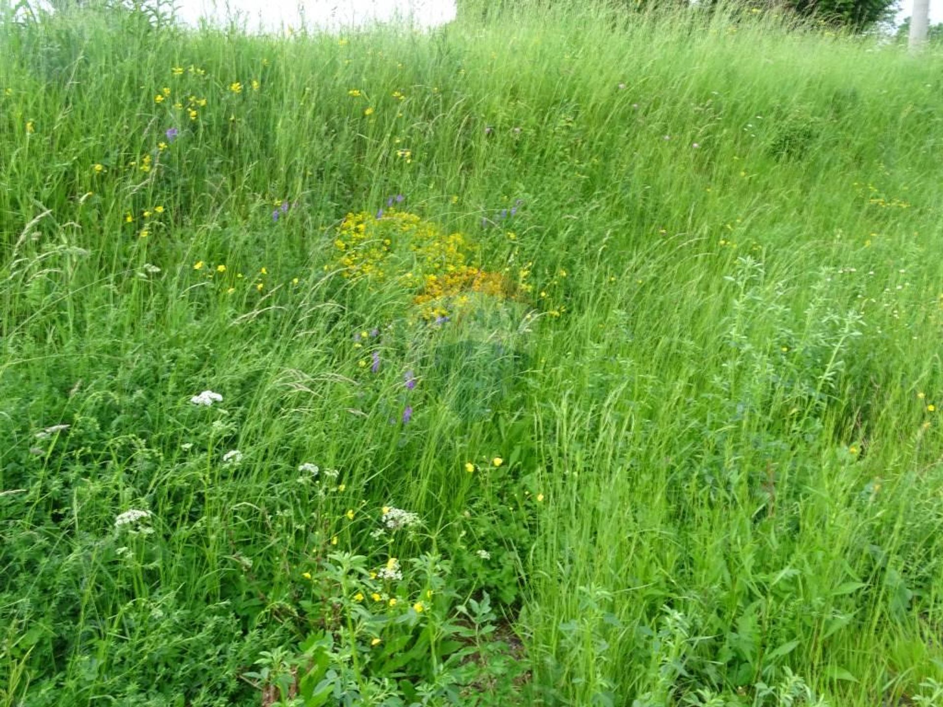 Land im Skrad, Primorsko-Goranska Zupanija 12036508