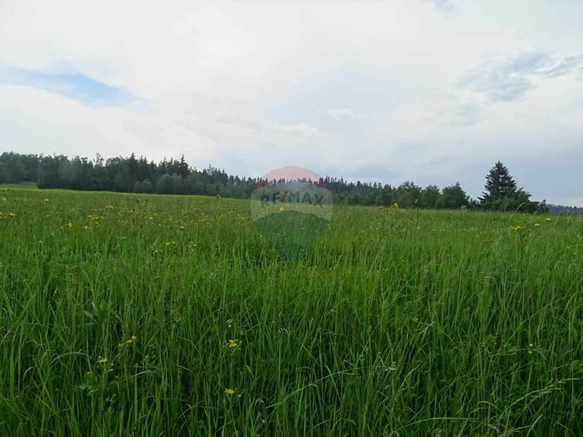 Tanah dalam Skrad, Primorsko-Goranska Zupanija 12036508