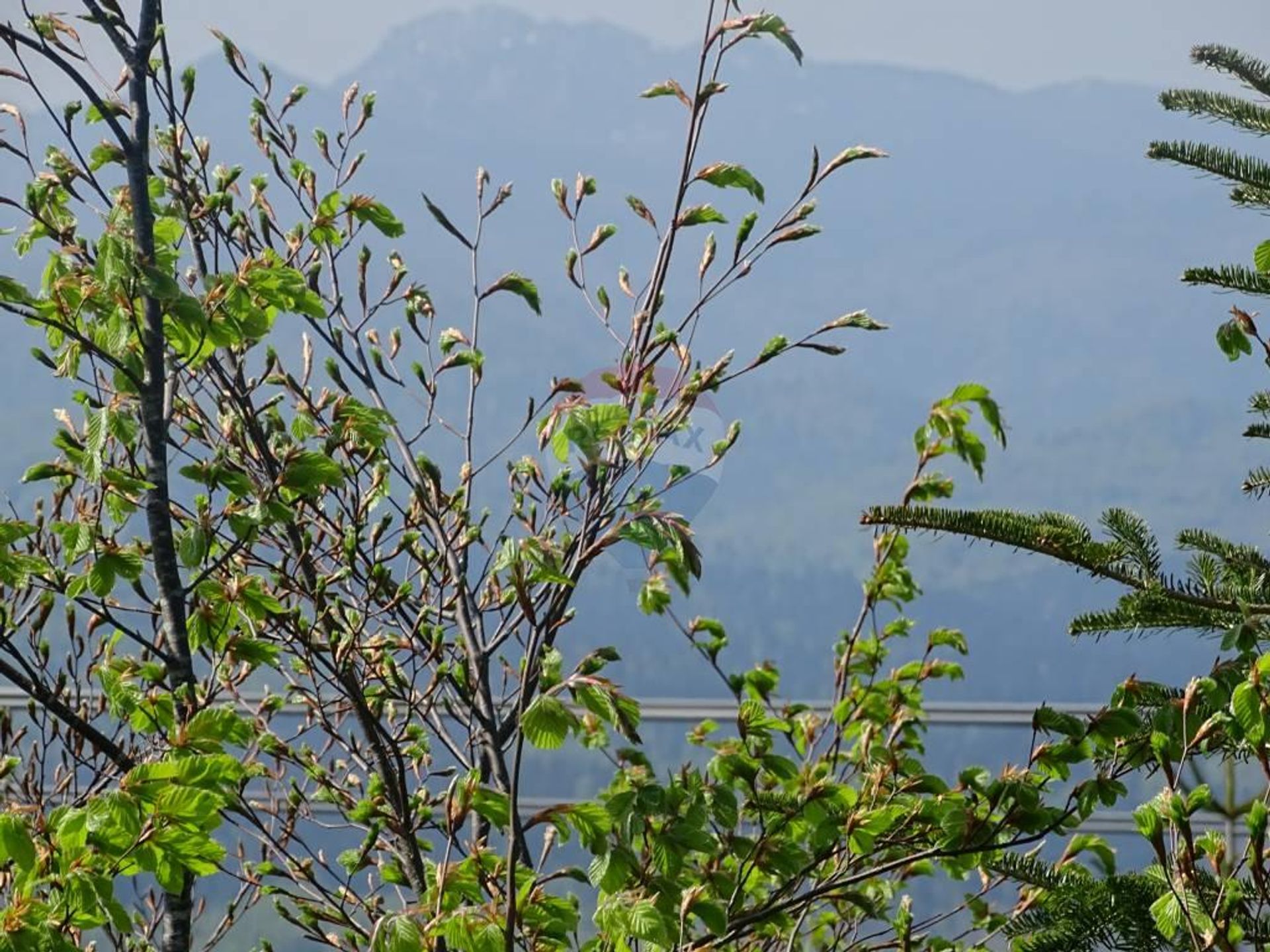 Terra no Fuzina, Primorsko-Goranska Zupanija 12036569