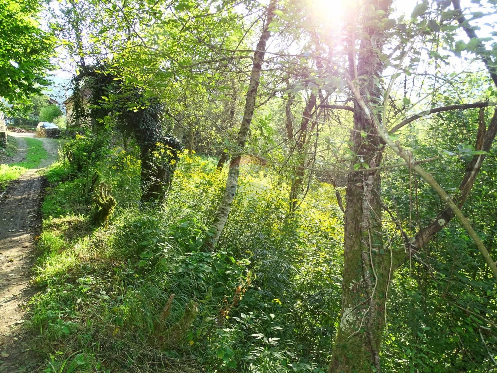 Tanah di Doluš, Primorsko-goranska županija 12036592