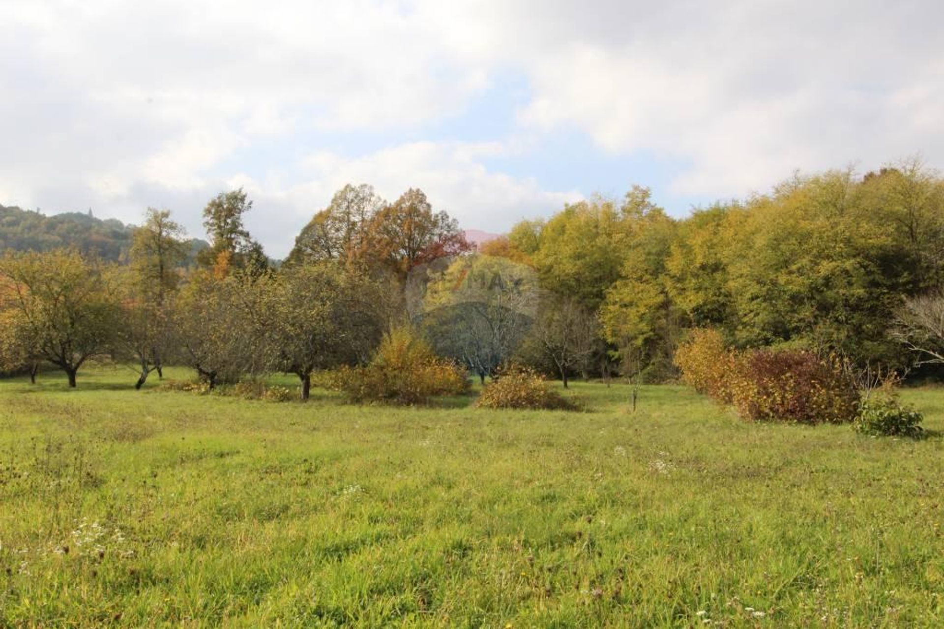 House in Lindar, Istarska županija 12036699