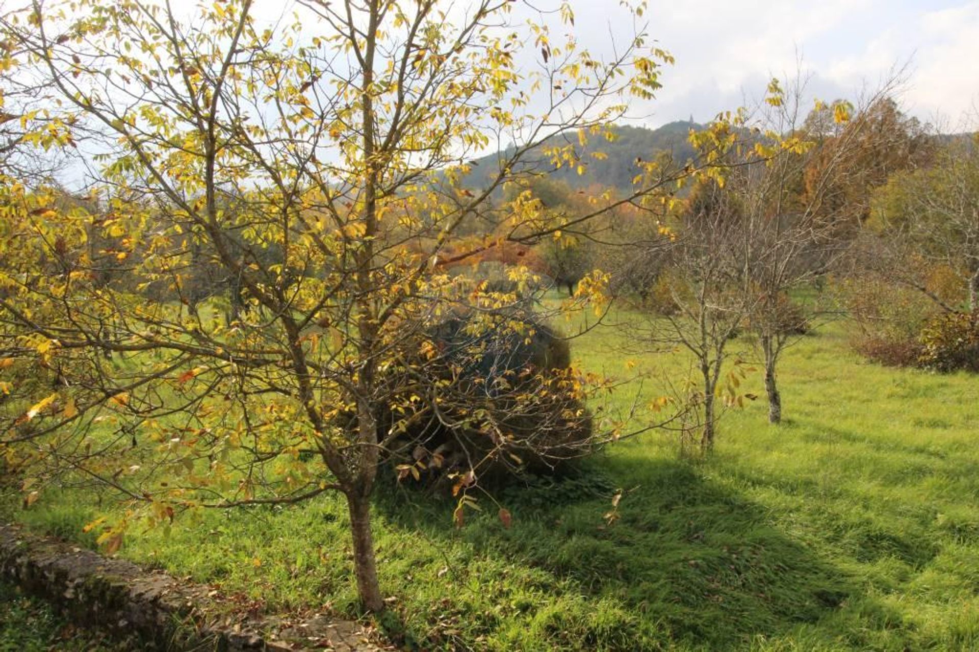 House in Lindar, Istarska županija 12036699